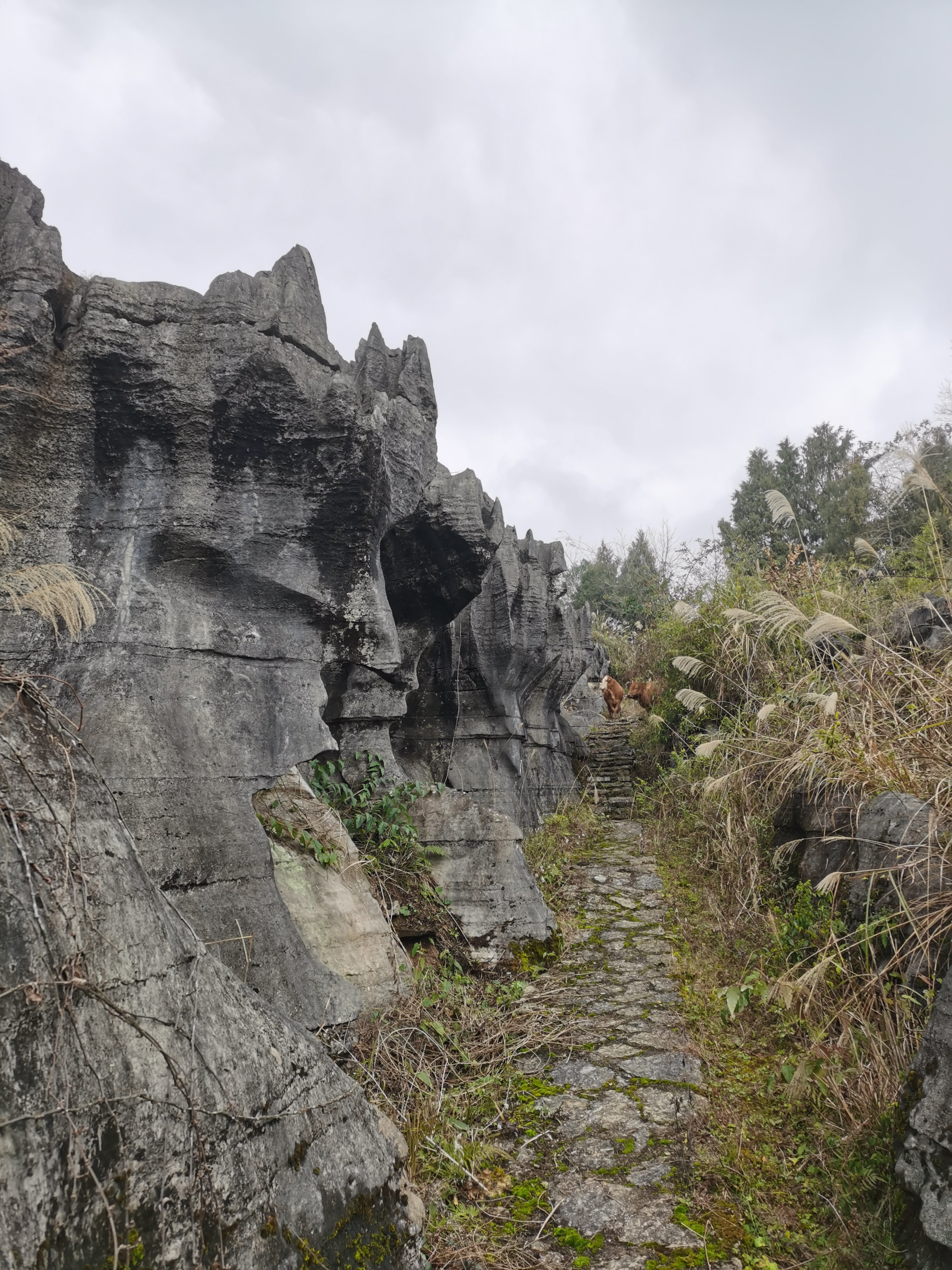 鞍子苗寨旅行图片 2