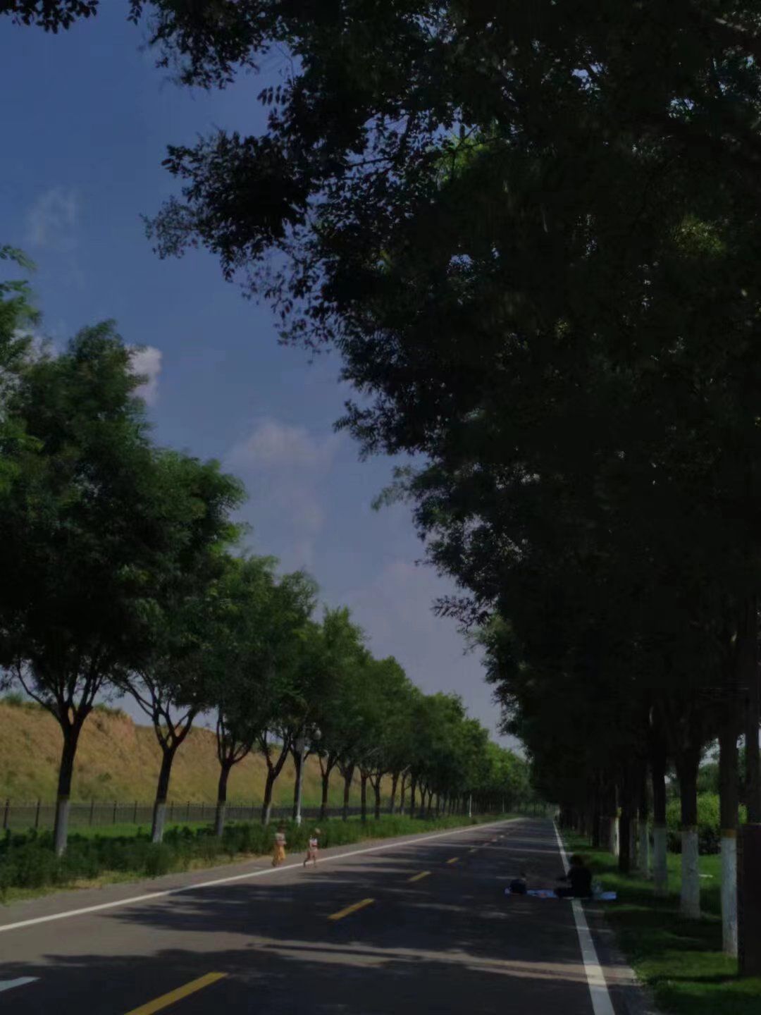 苑城文化公园旅行图片