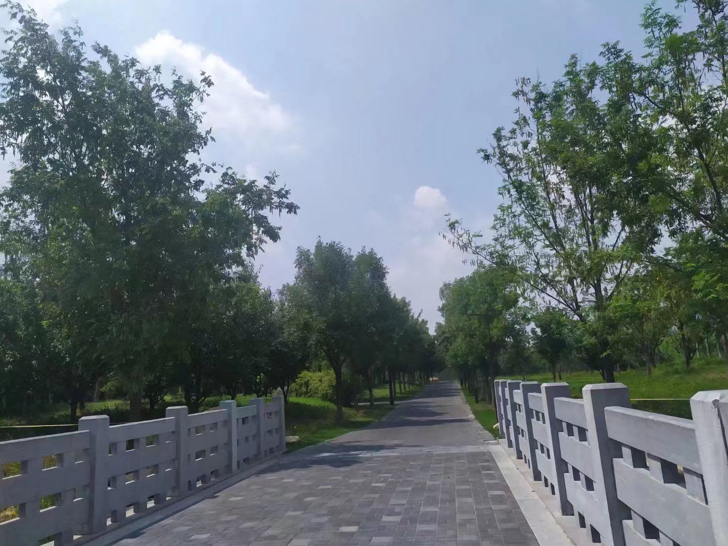 苑城文化公园旅行图片 3
