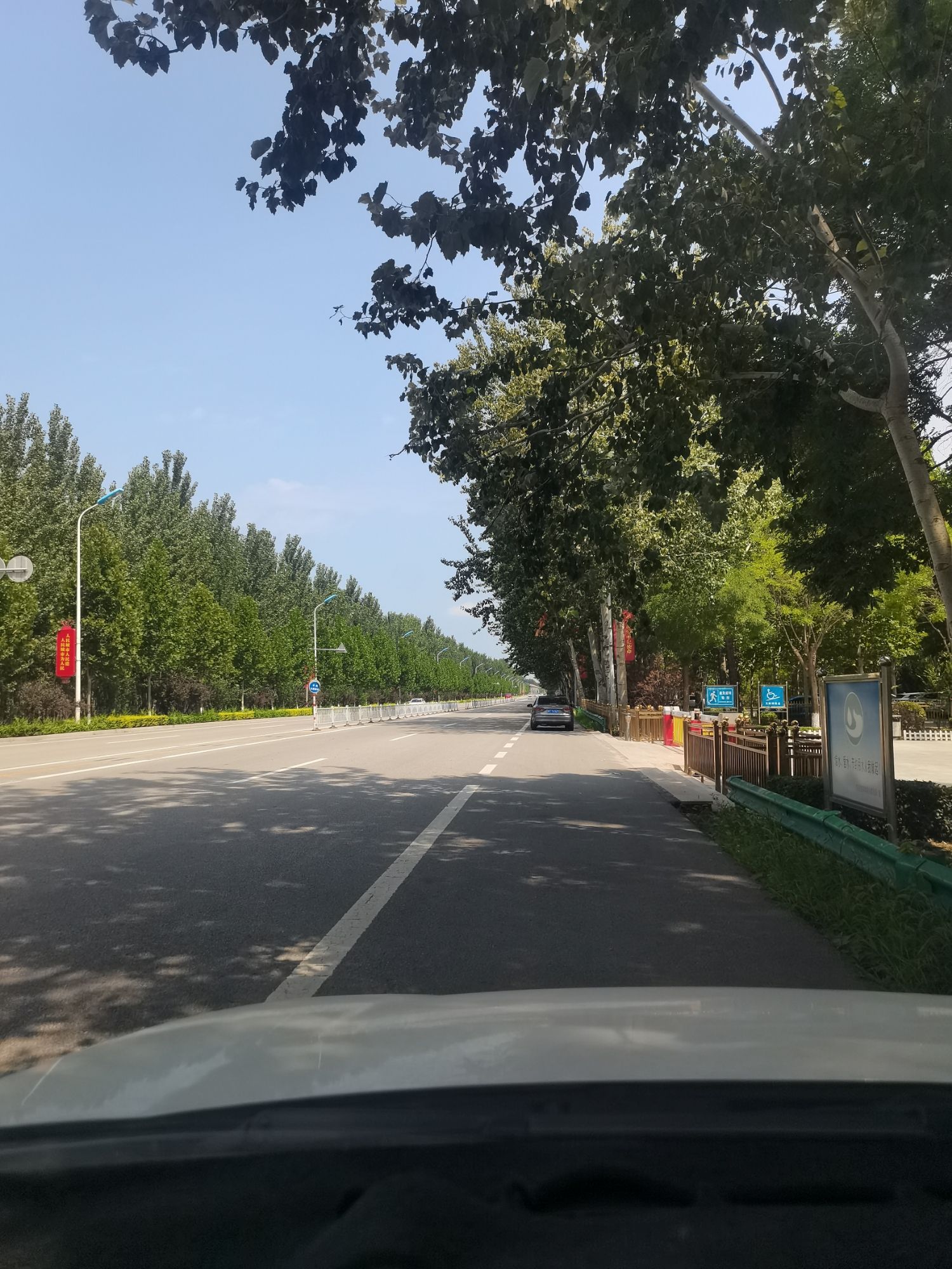 索泸河·南湖公园旅行图片 2