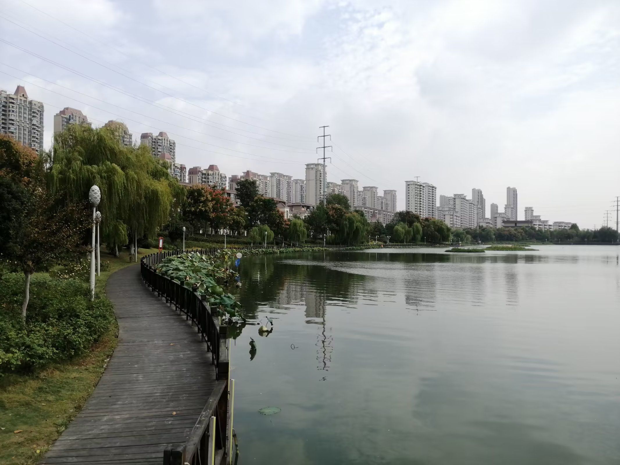 彩蝶湖公园旅行图片 1