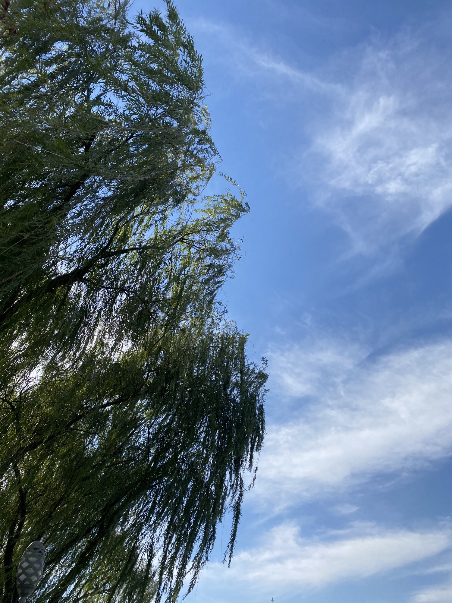 彩蝶湖公园旅行图片 2