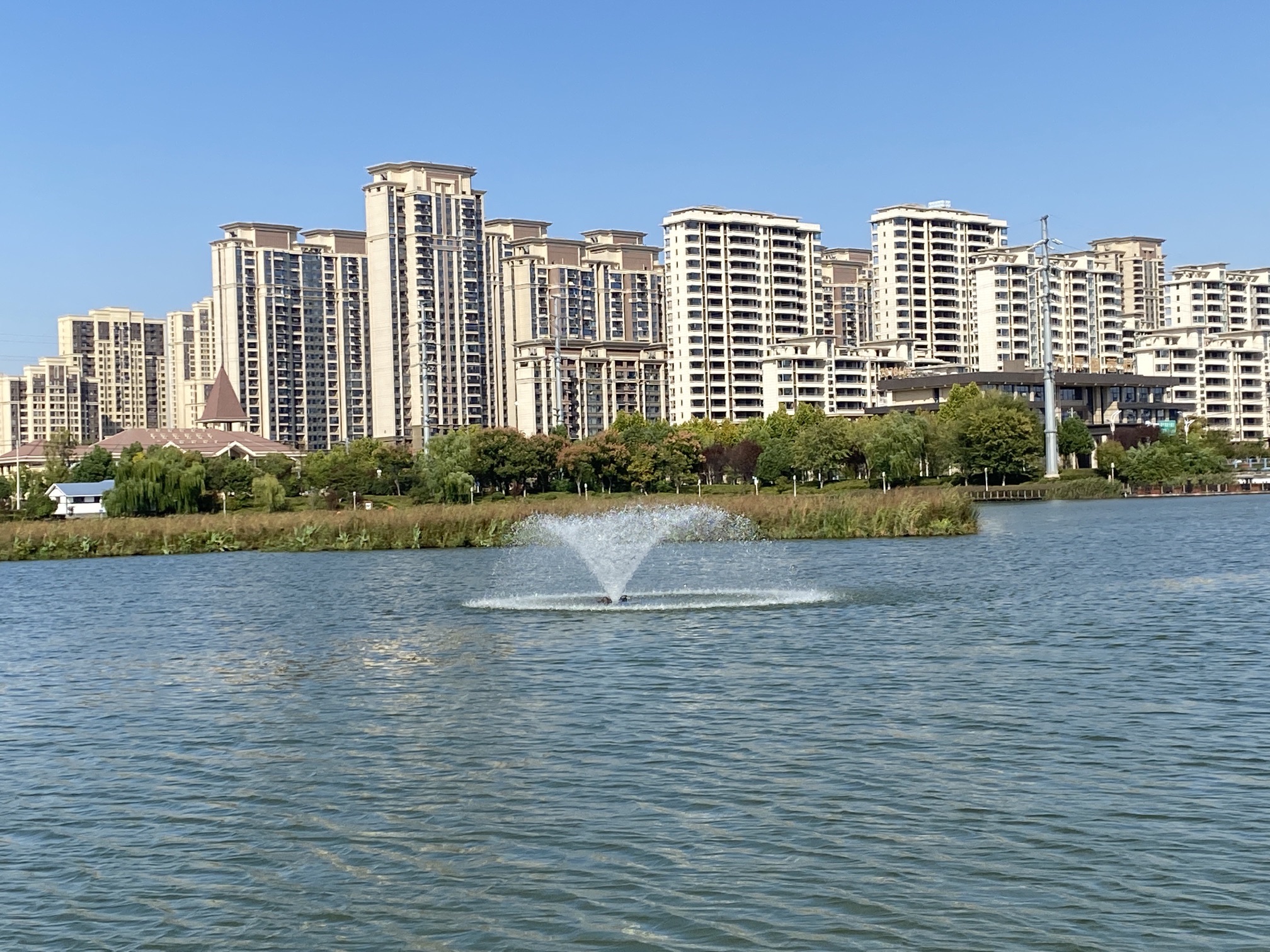彩蝶湖公园旅行图片 3