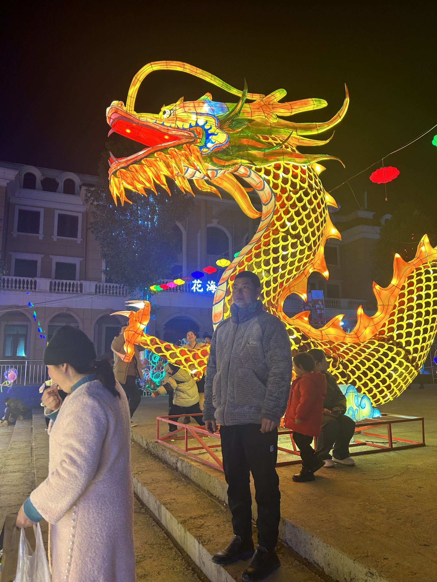 雪霁花海旅行图片 2