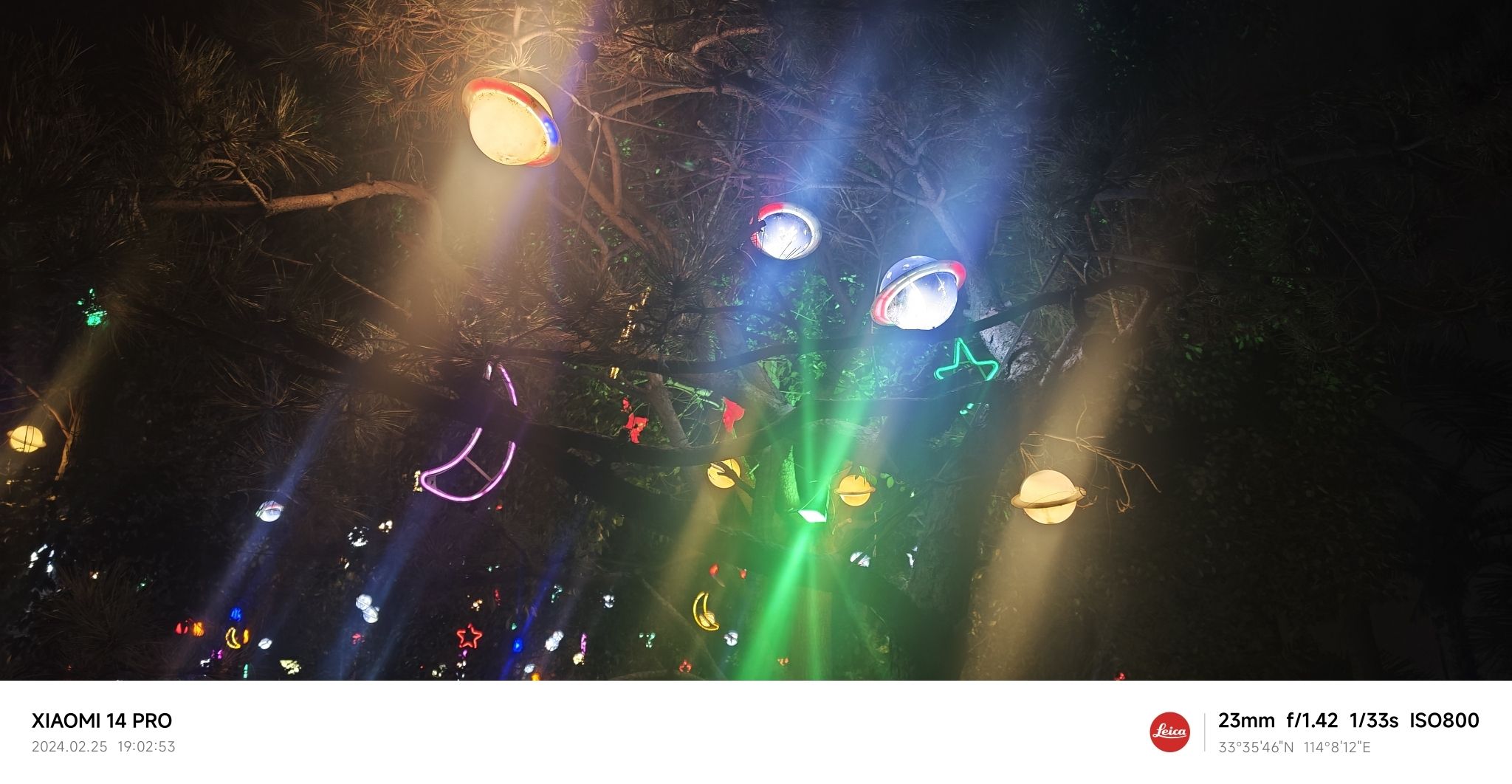 雪霁花海旅行图片 3