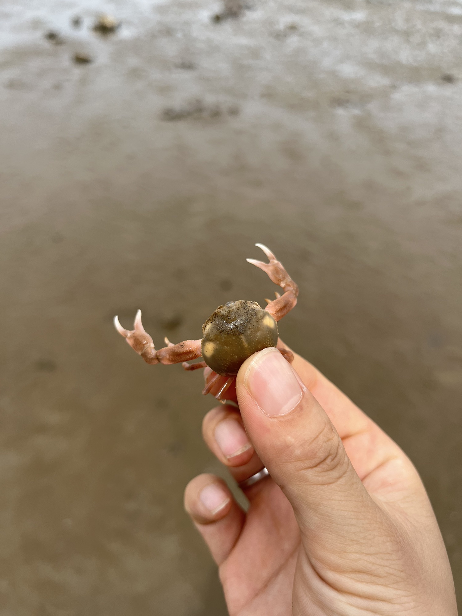 月亮湾旅行图片 2