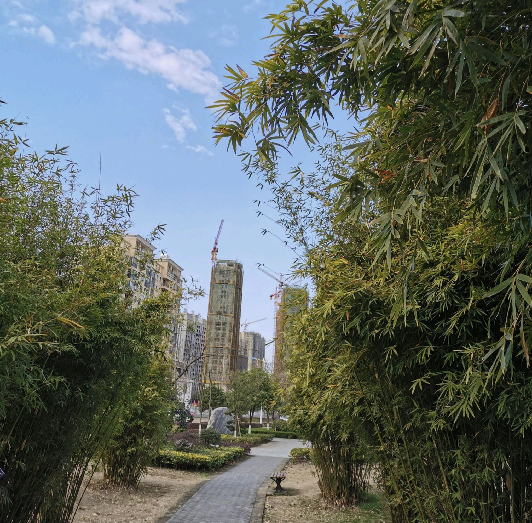 广济公园旅行图片 1