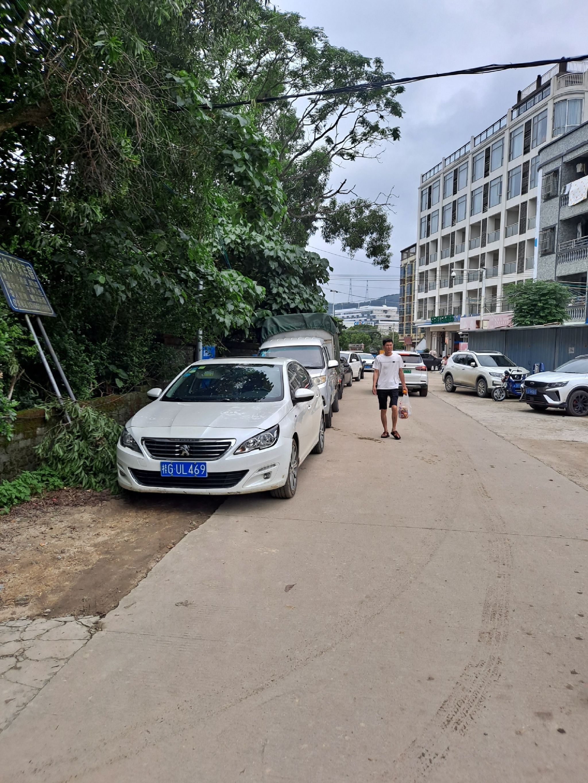 东头村海滩旅行图片 1