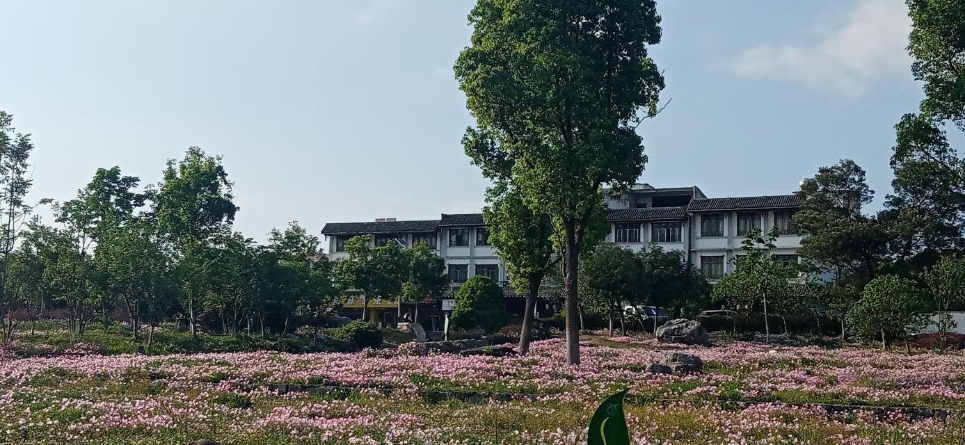 郎岱百草园旅行图片 1