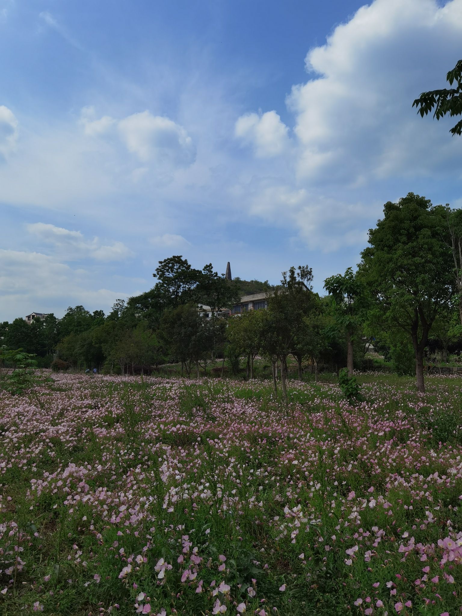 郎岱百草园旅行图片 3