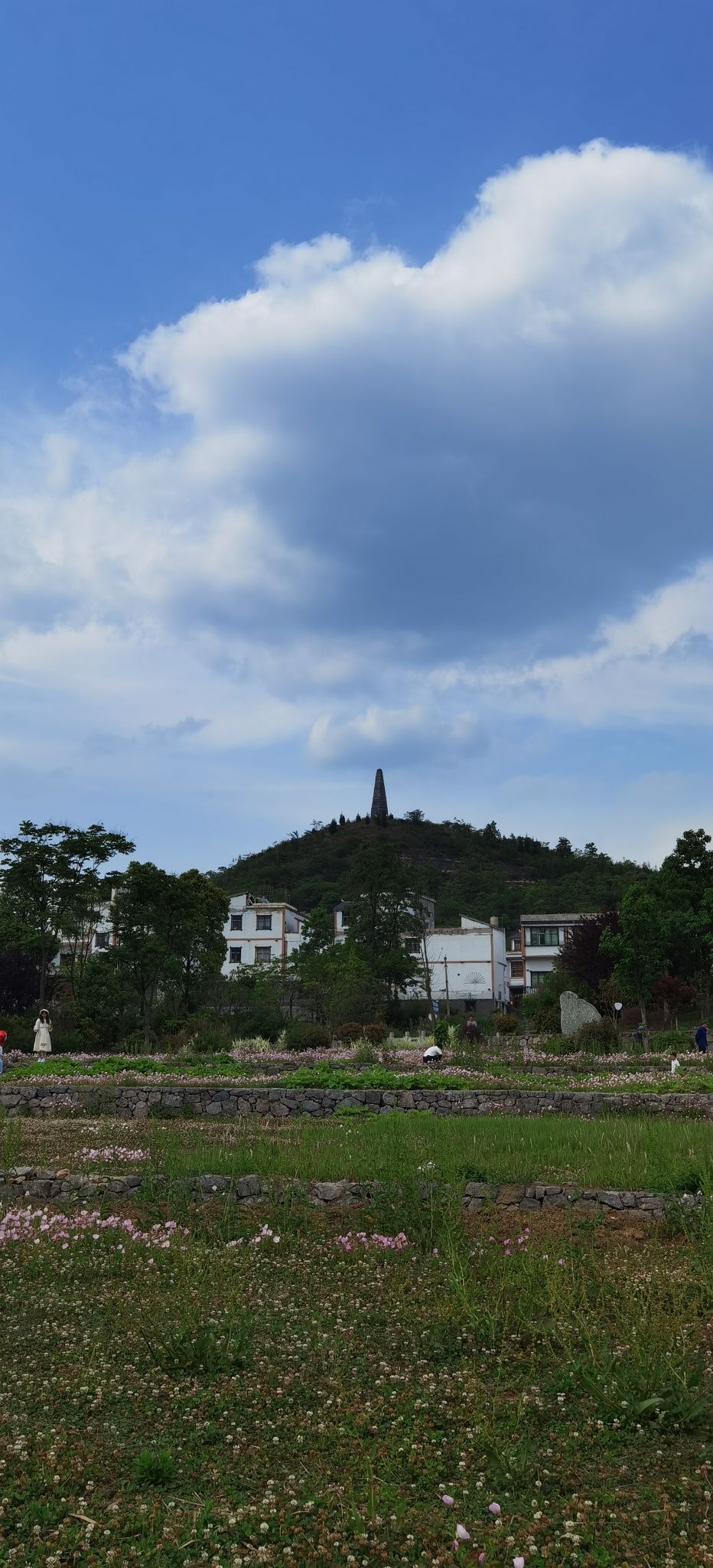 郎岱百草园旅行图片 1