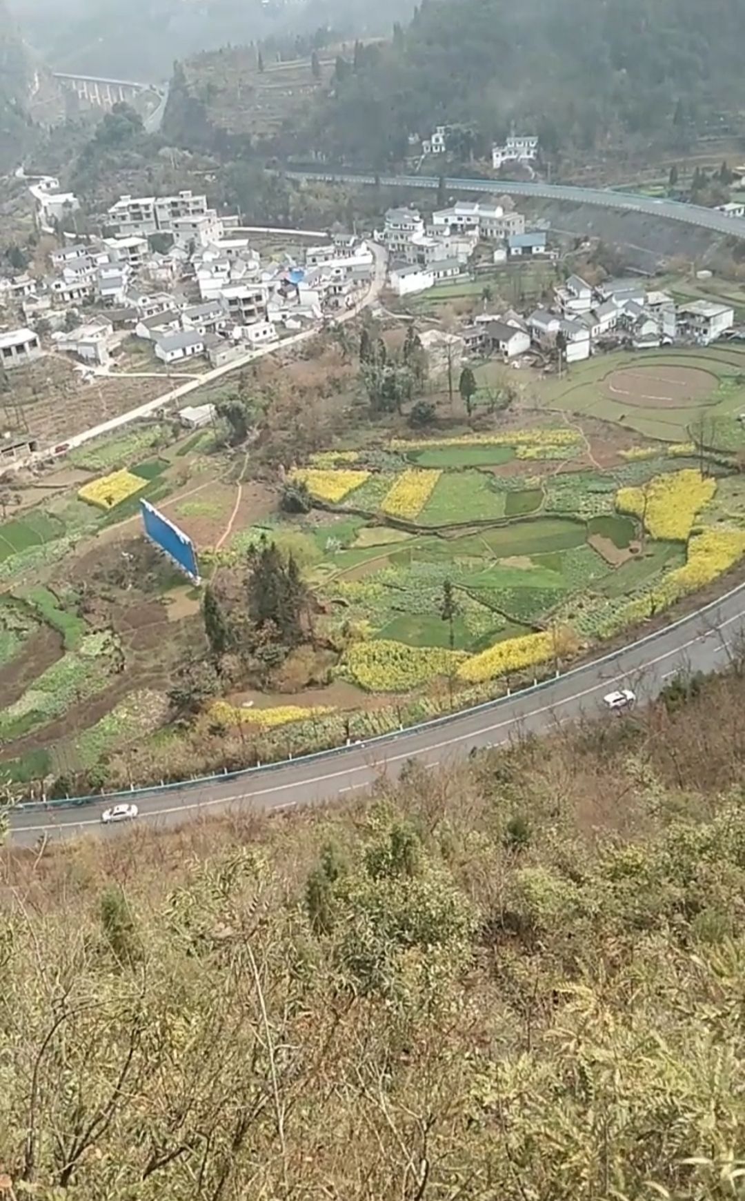 郎岱百草园旅行图片 1