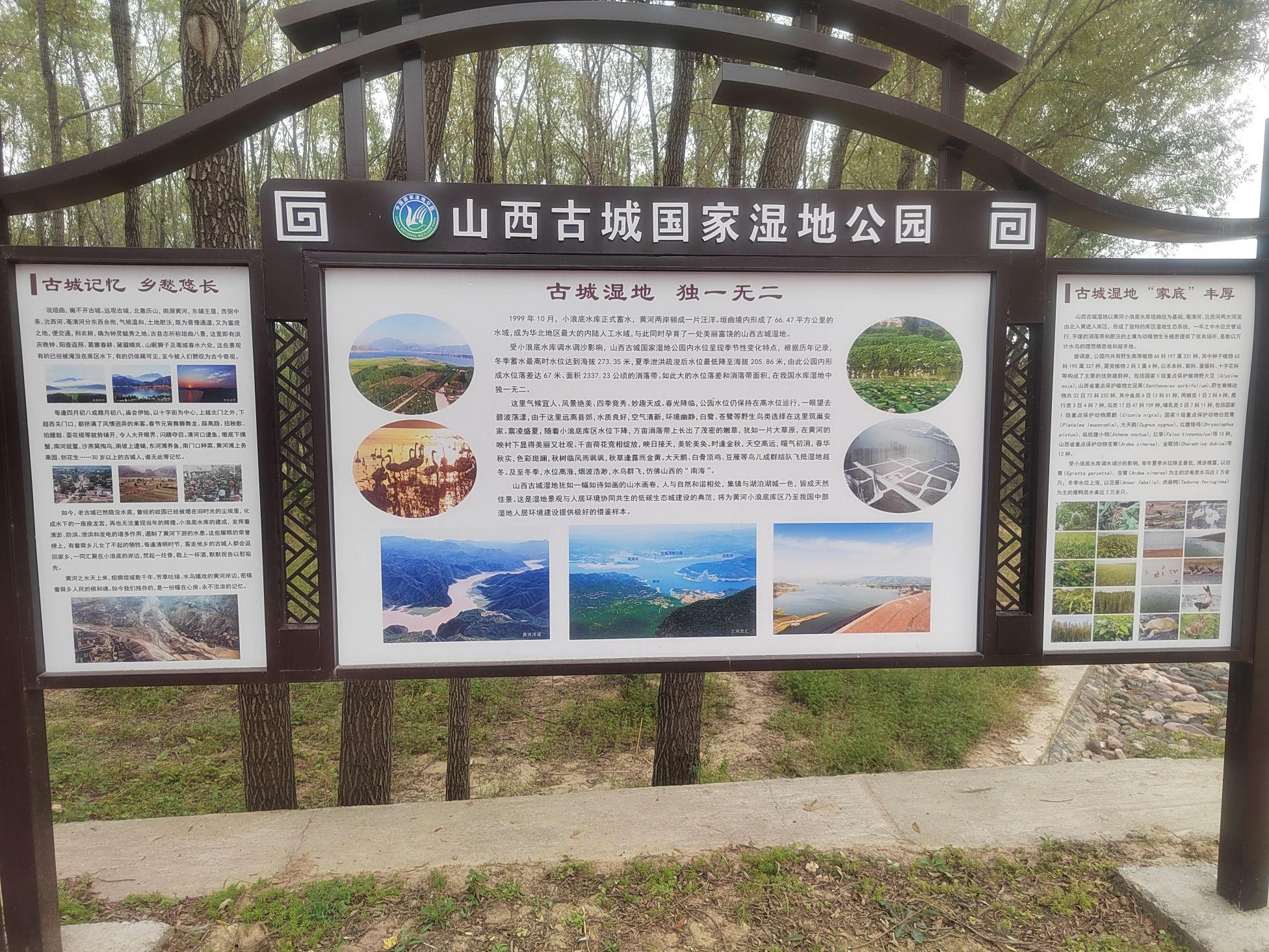 黄河一号旅游公路-古城国家湿地公园旅行图片 2