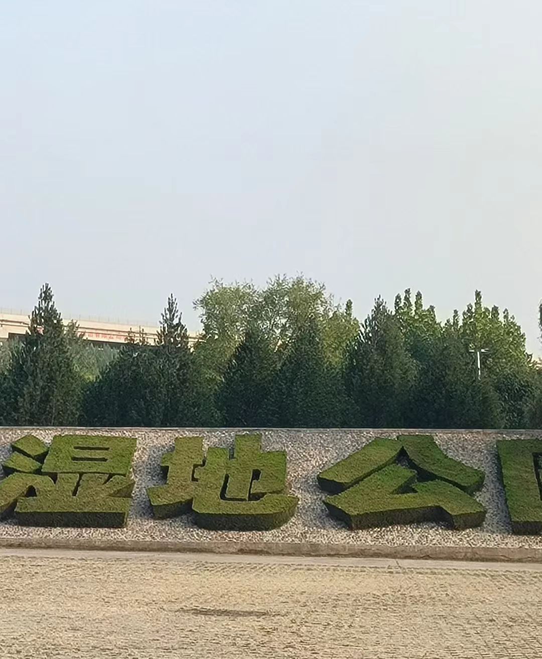 黄河一号旅游公路-古城国家湿地公园旅行图片 1
