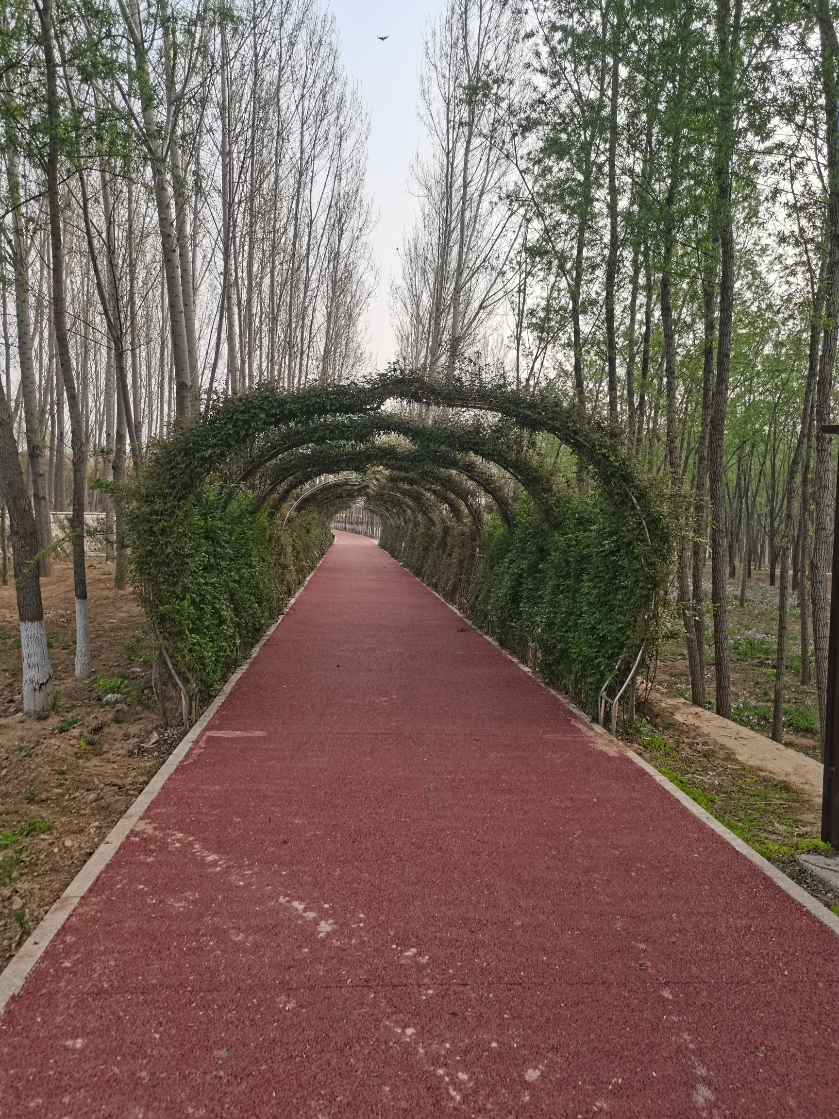 黄河一号旅游公路-古城国家湿地公园旅行图片 2