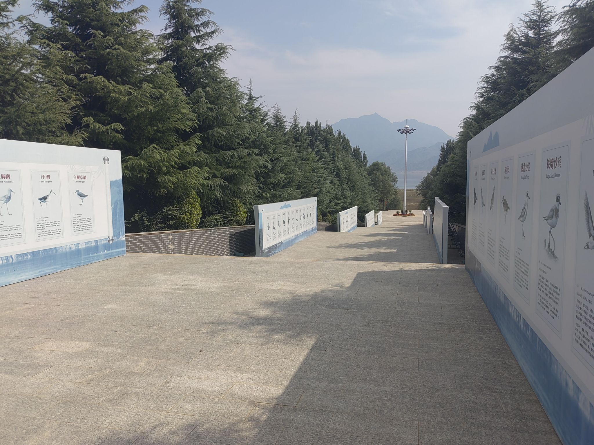 黄河一号旅游公路-古城国家湿地公园