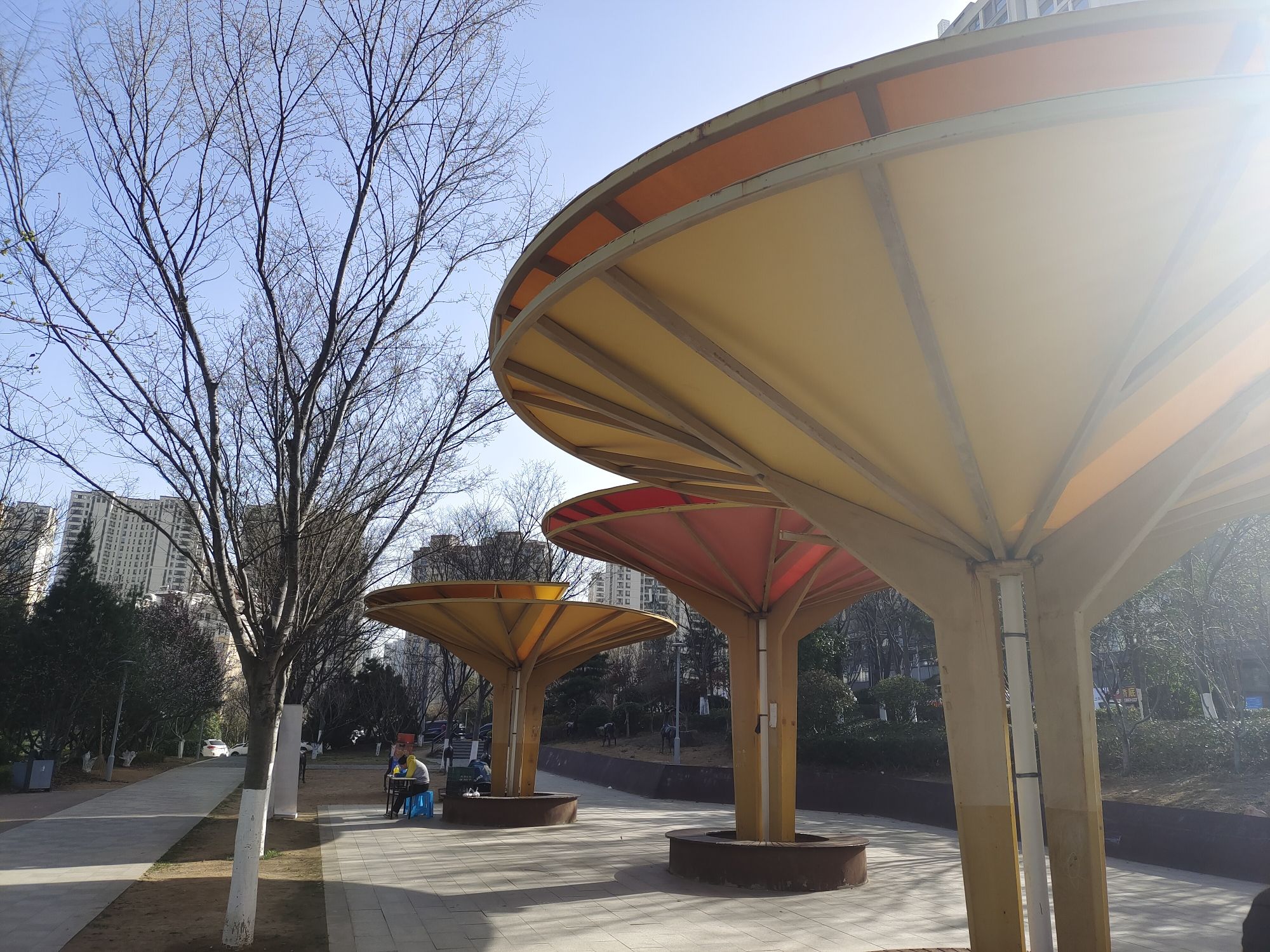 长乐公园旅行图片 2