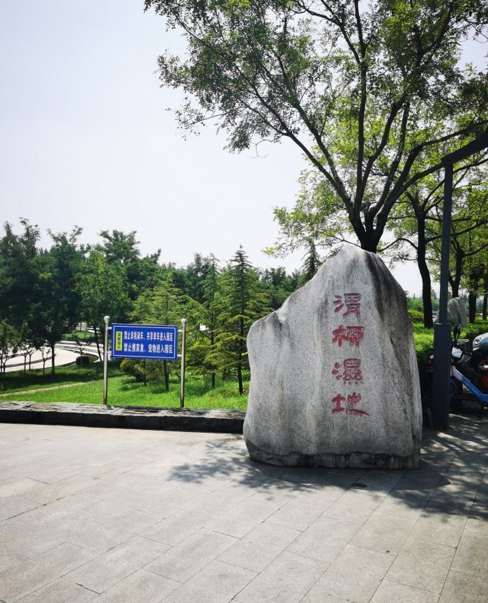 渭柳湿地公园