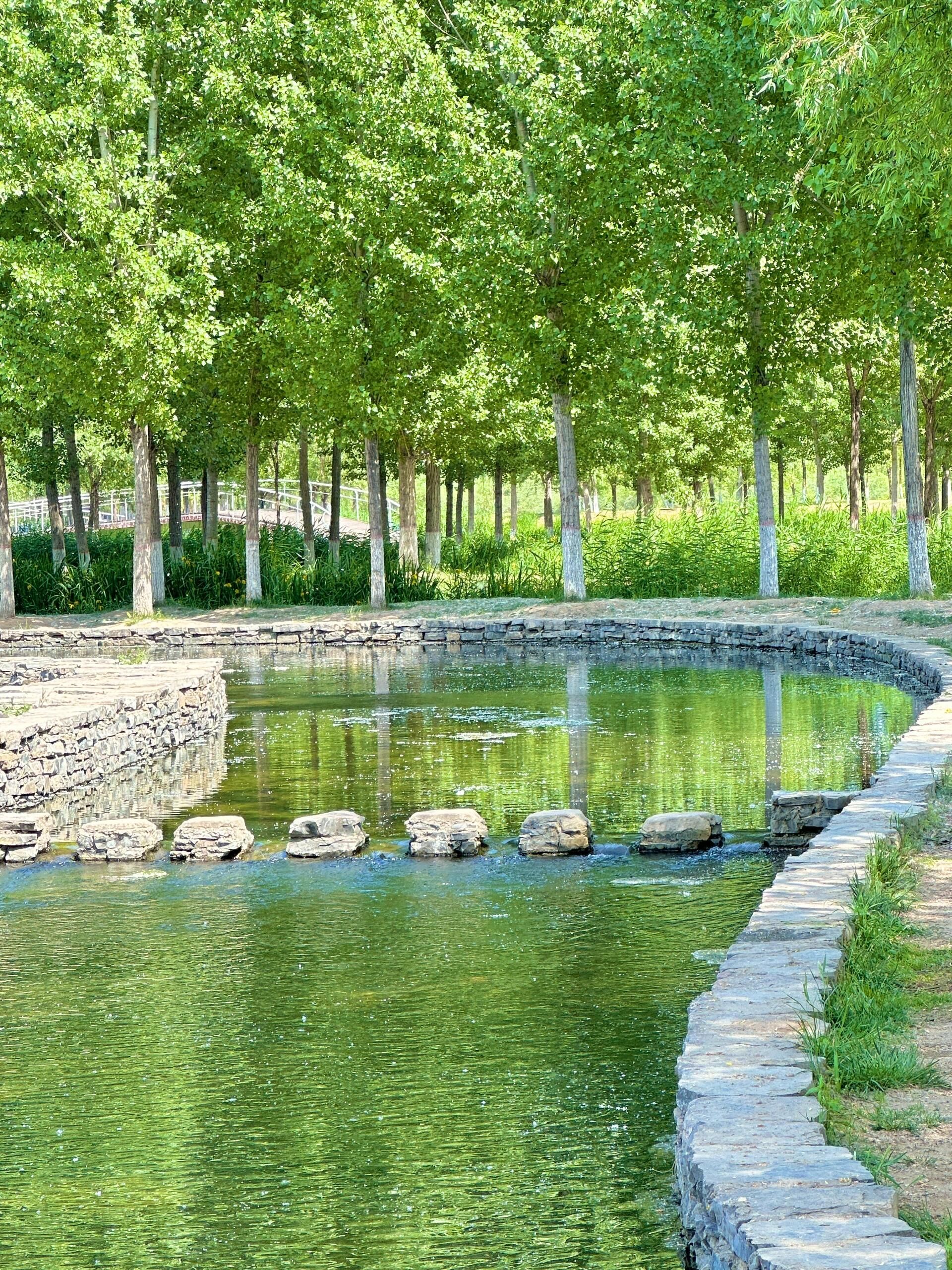 渭柳湿地公园