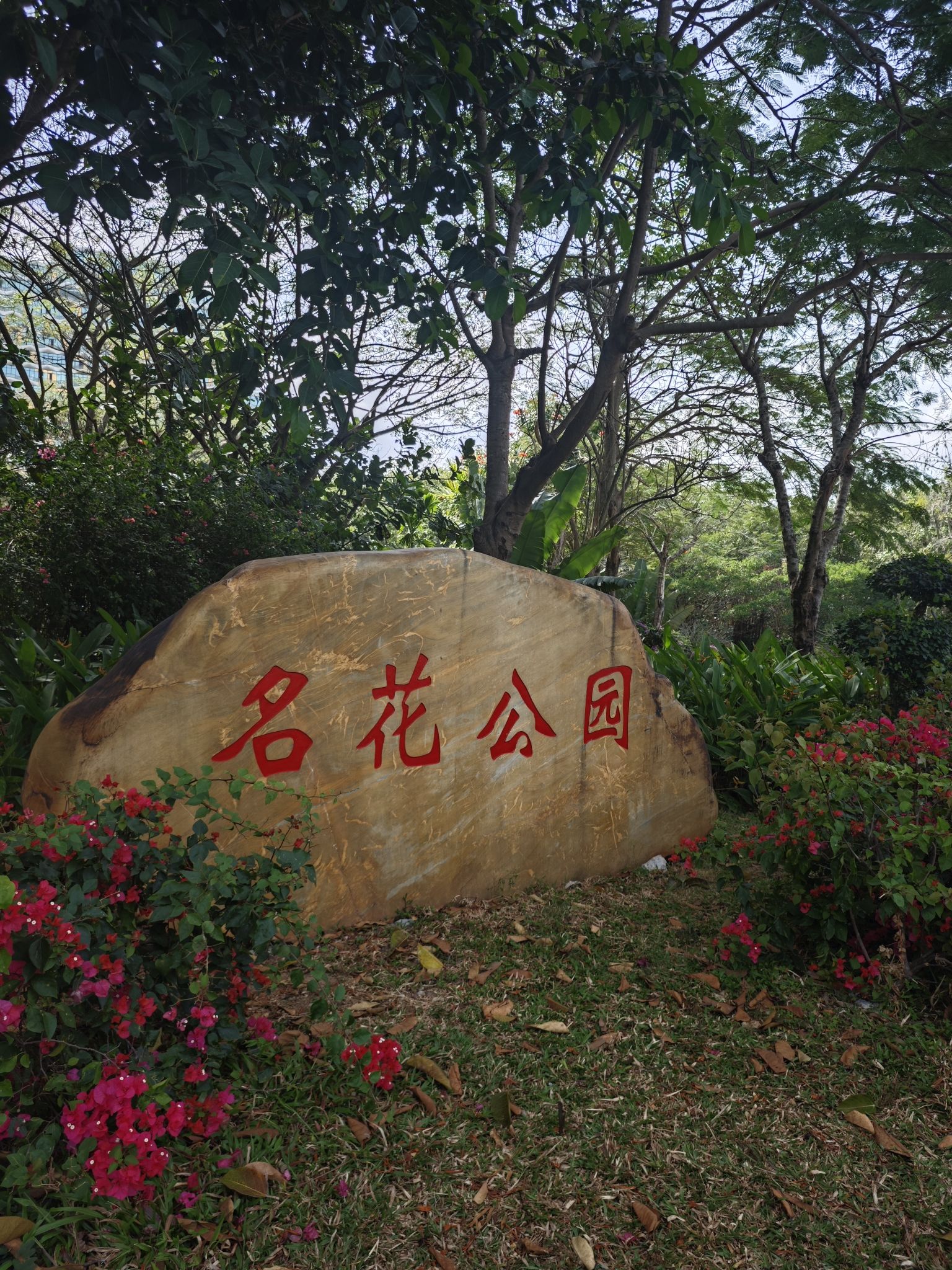 名花公园旅行图片 1
