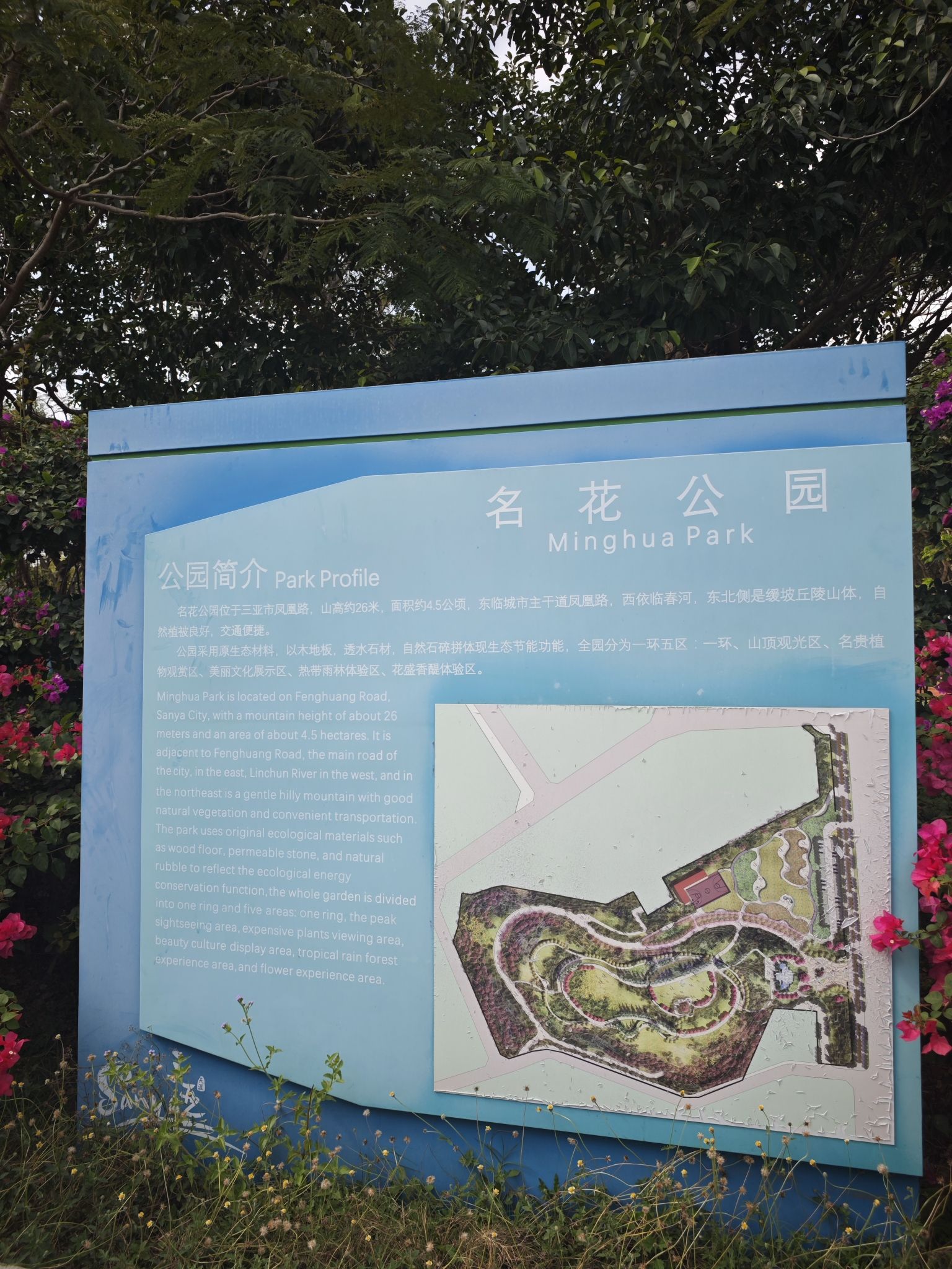 名花公园旅行图片 2