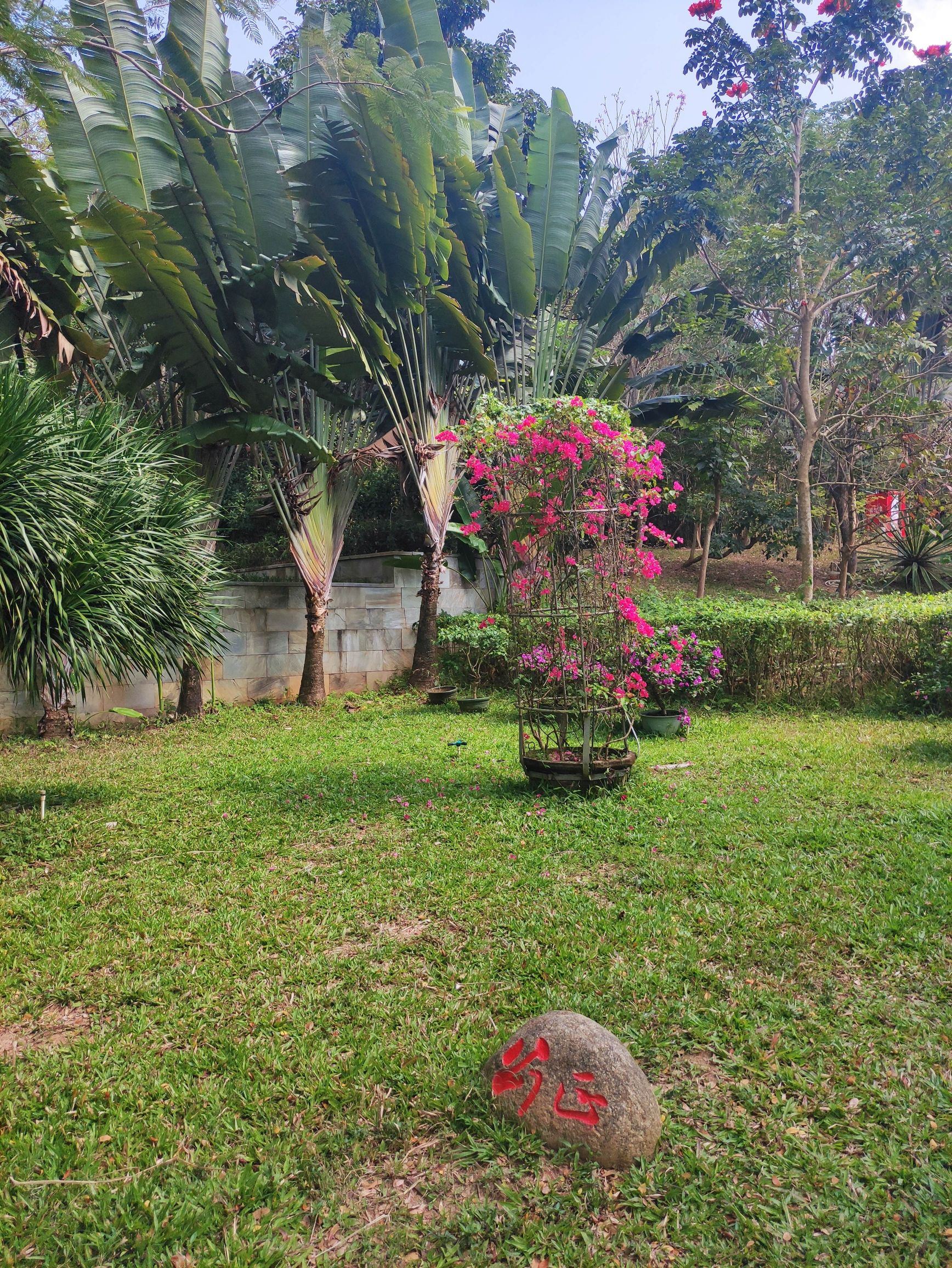 名花公园旅行图片 3