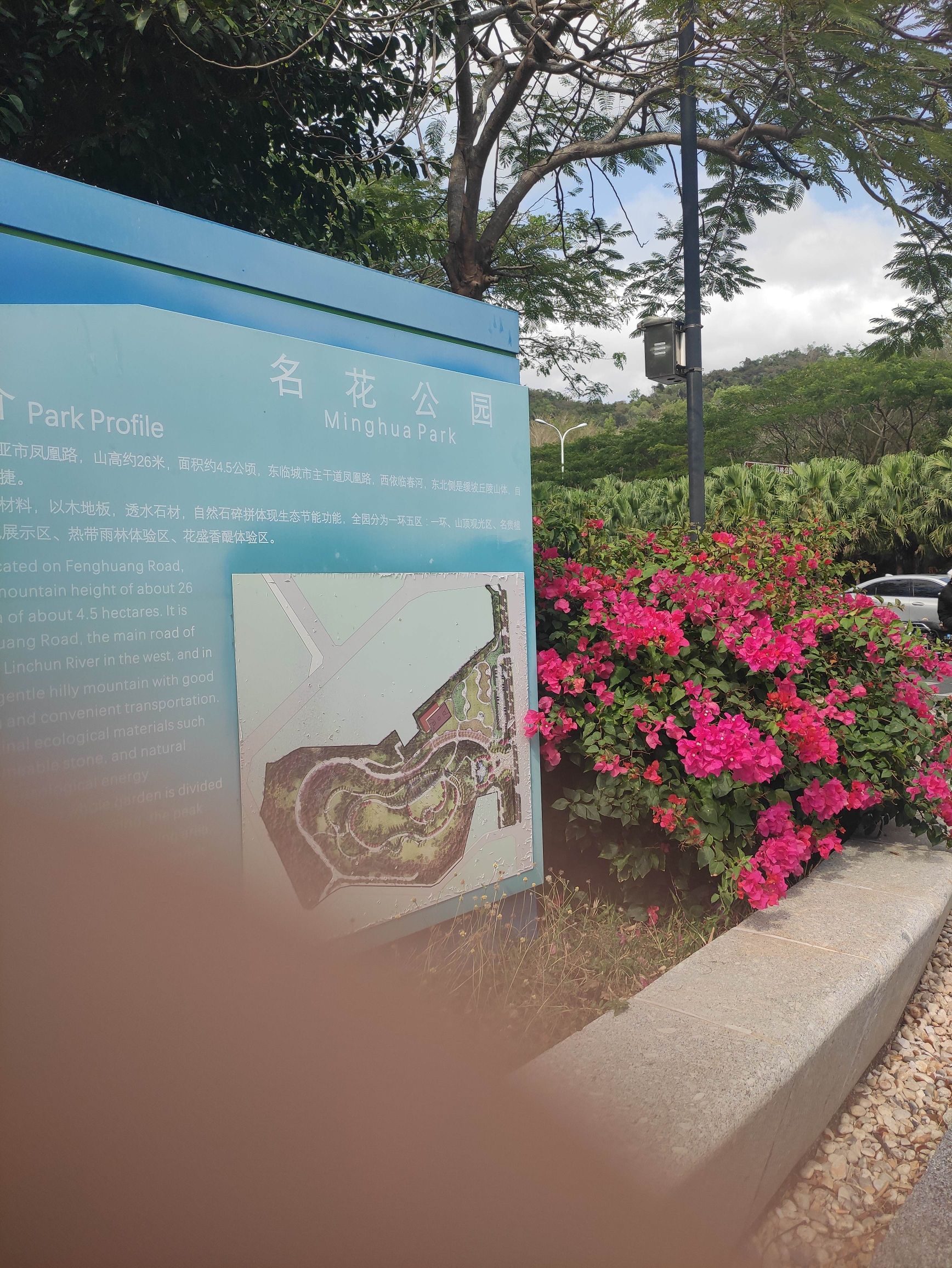 名花公园旅行图片 1