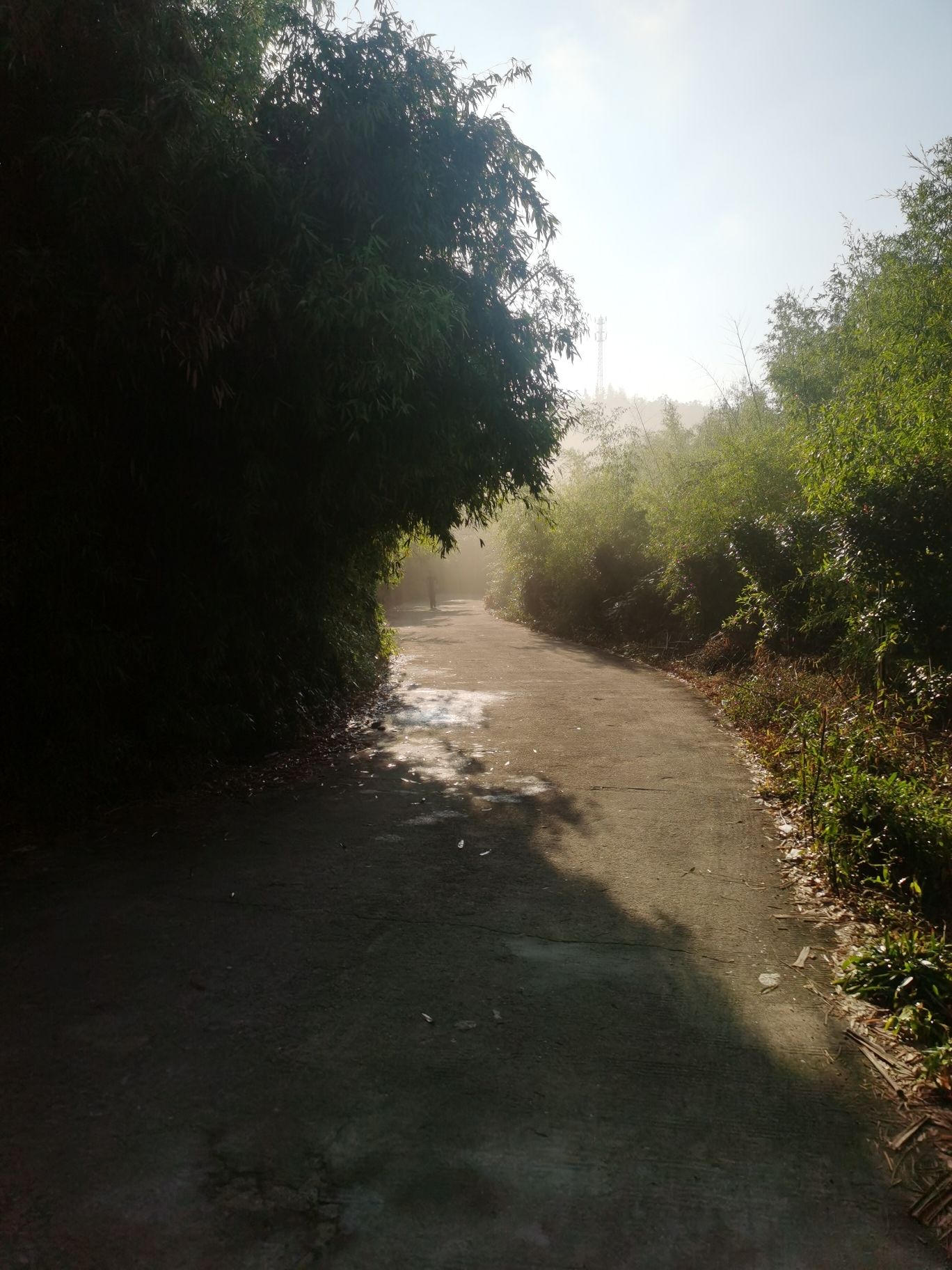 梨树洲风景区旅行图片 2