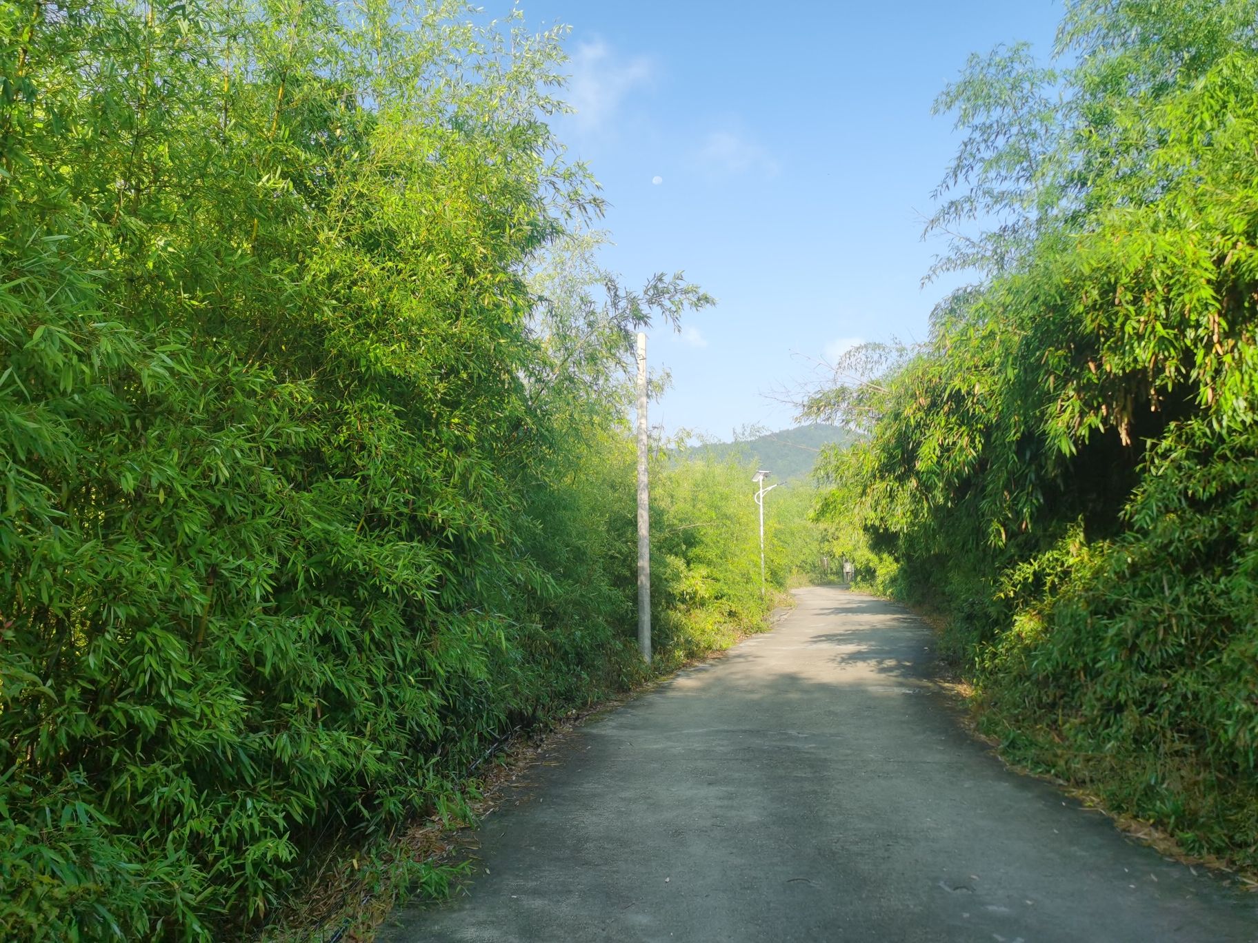 梨树洲风景区旅行图片 3