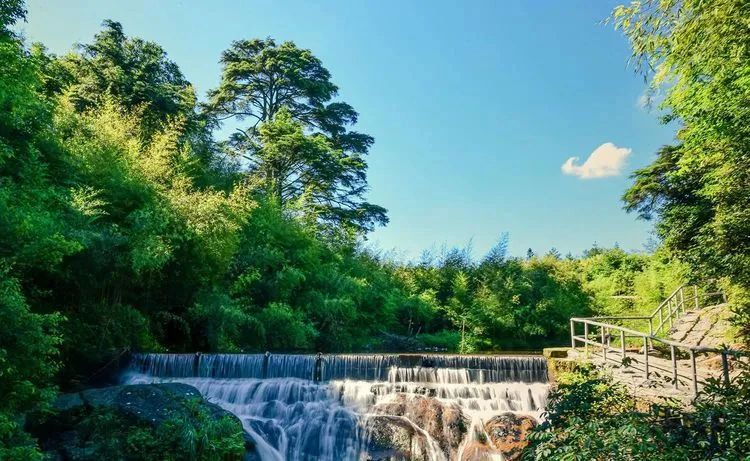 梨树洲风景区旅行图片 2