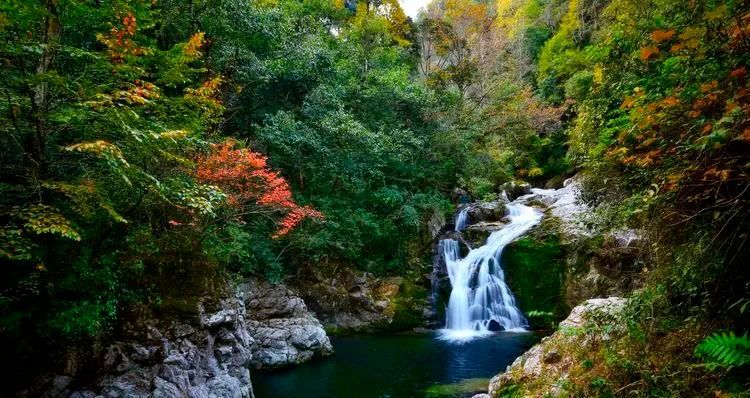 梨树洲风景区旅行图片 1