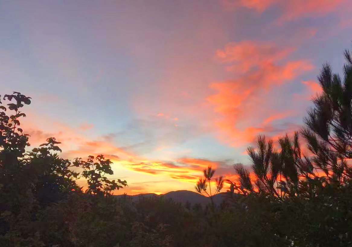梨树洲风景区旅行图片 1