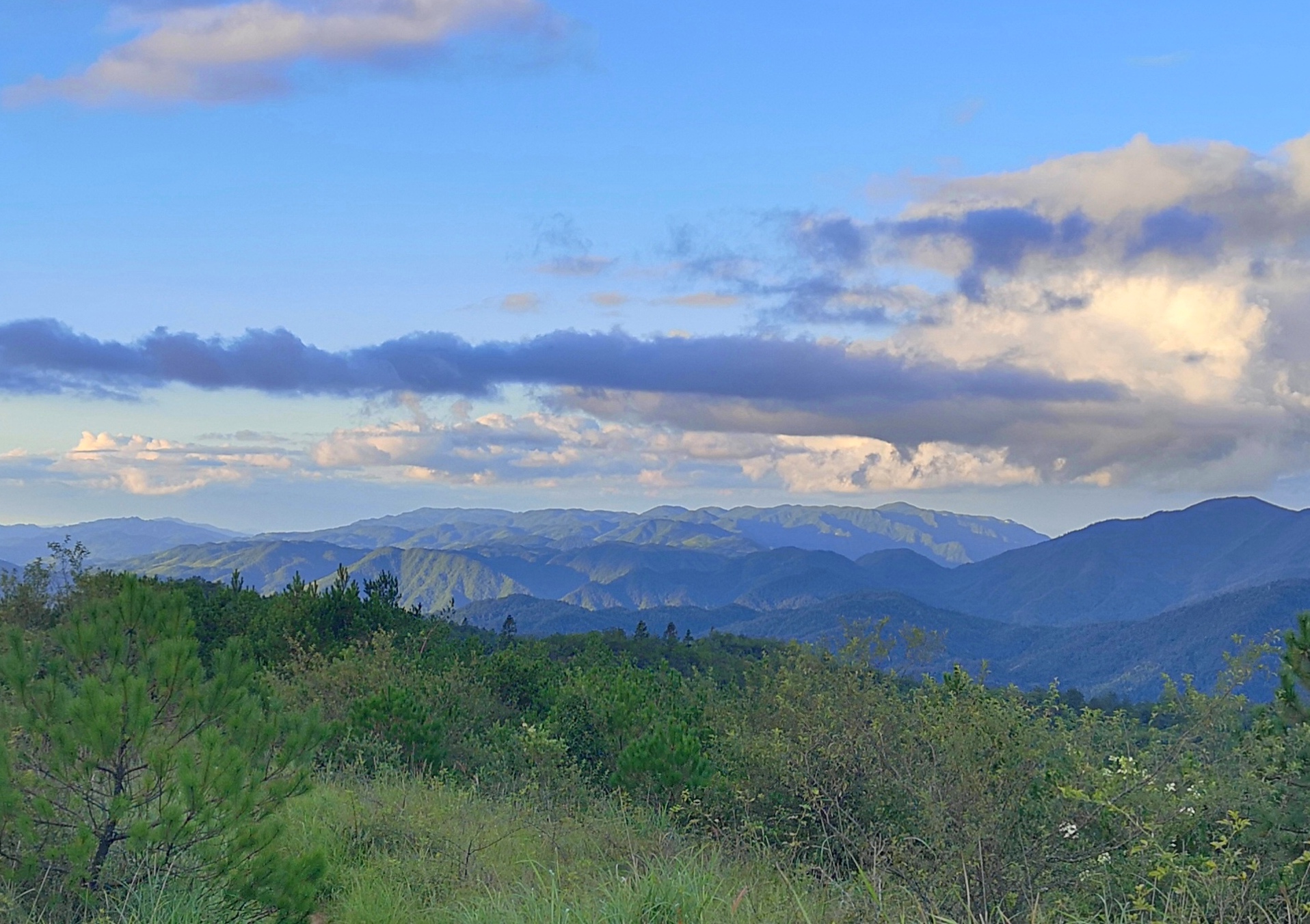 梨树洲风景区