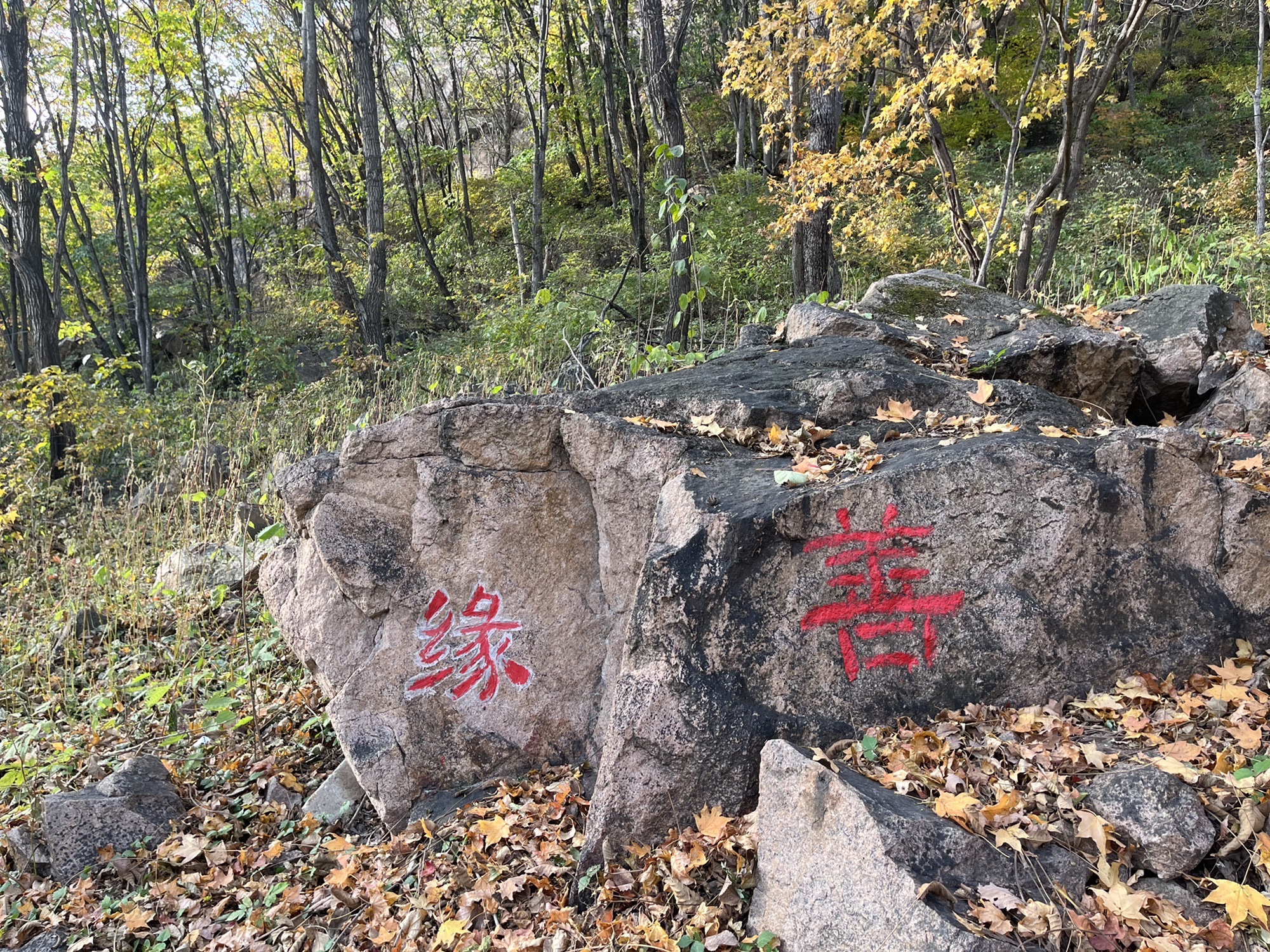 壹台山风景区旅行图片 3