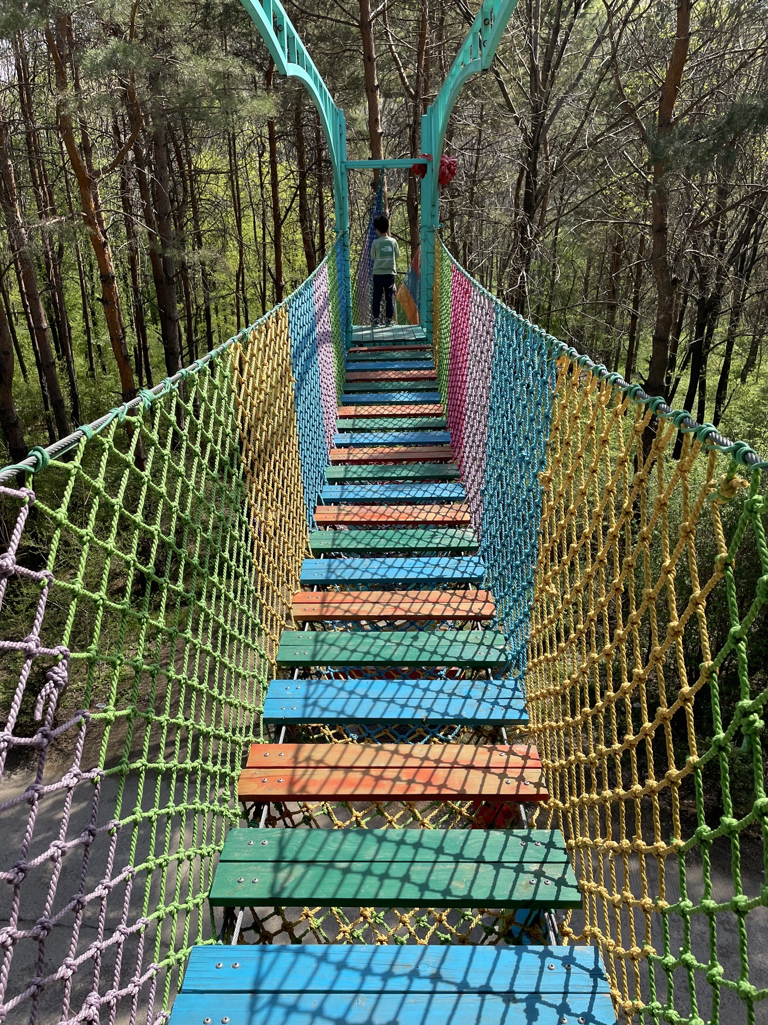 壹台山风景区旅行图片 2