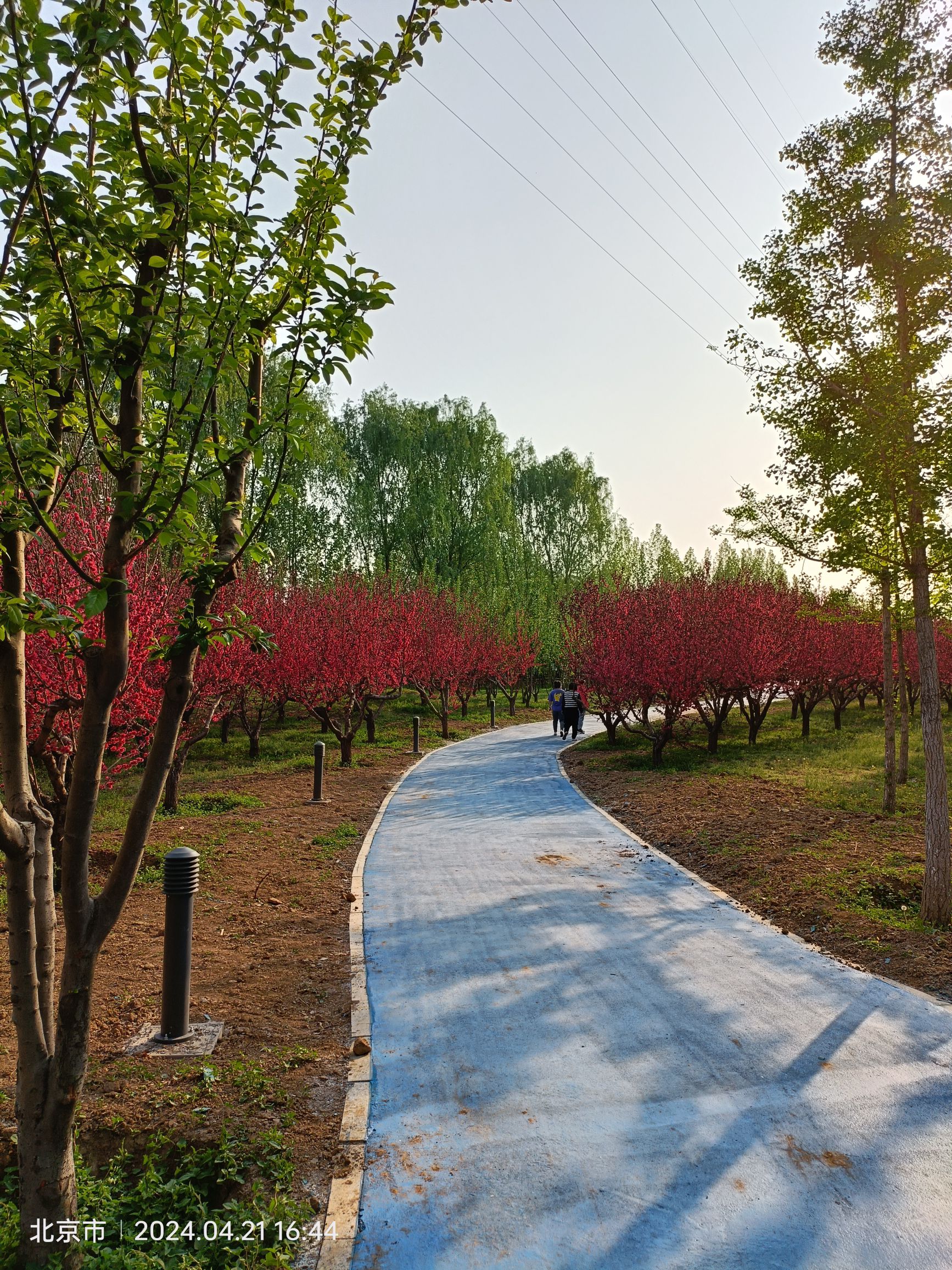 平谷湿地公园旅行图片 2