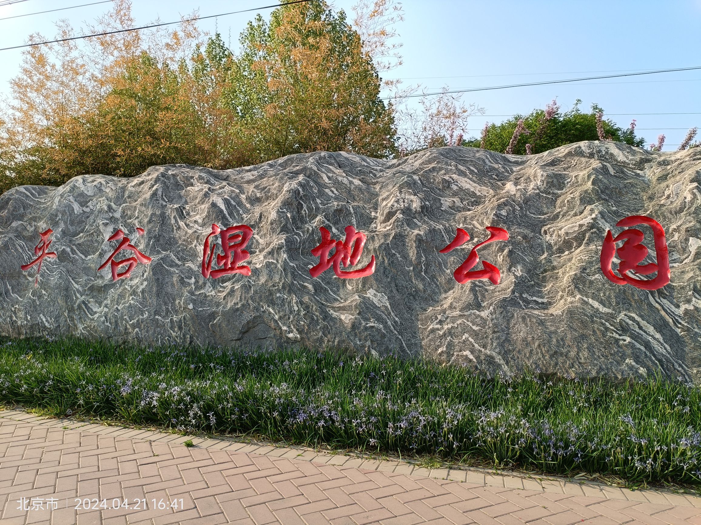平谷湿地公园旅行图片 1