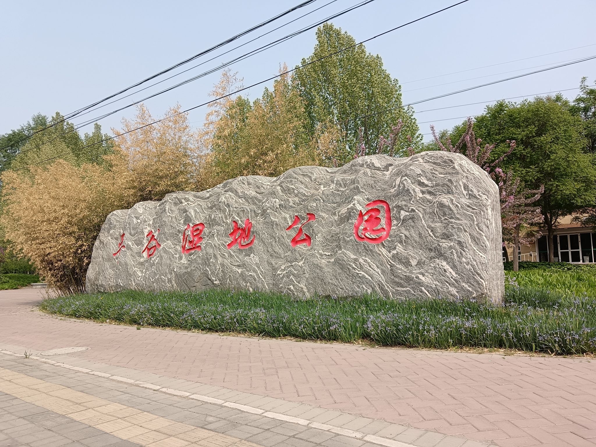 平谷湿地公园旅行图片 1