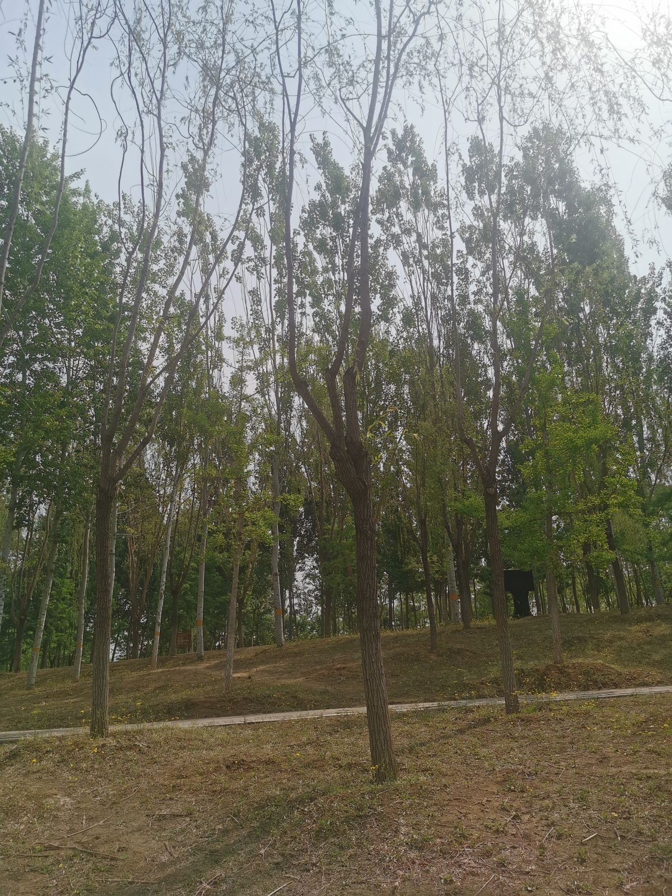 平谷湿地公园旅行图片 2