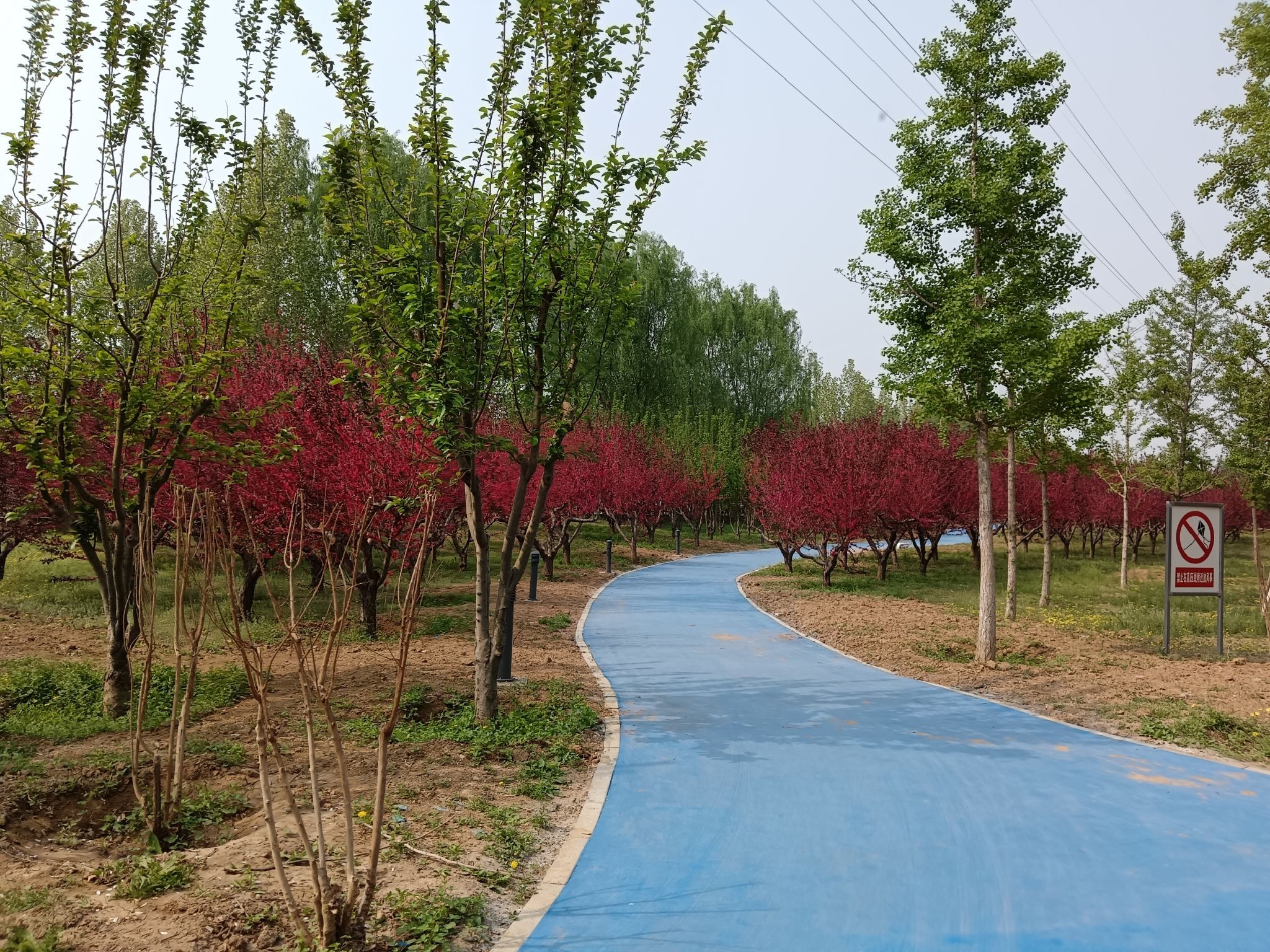 平谷湿地公园旅行图片 3