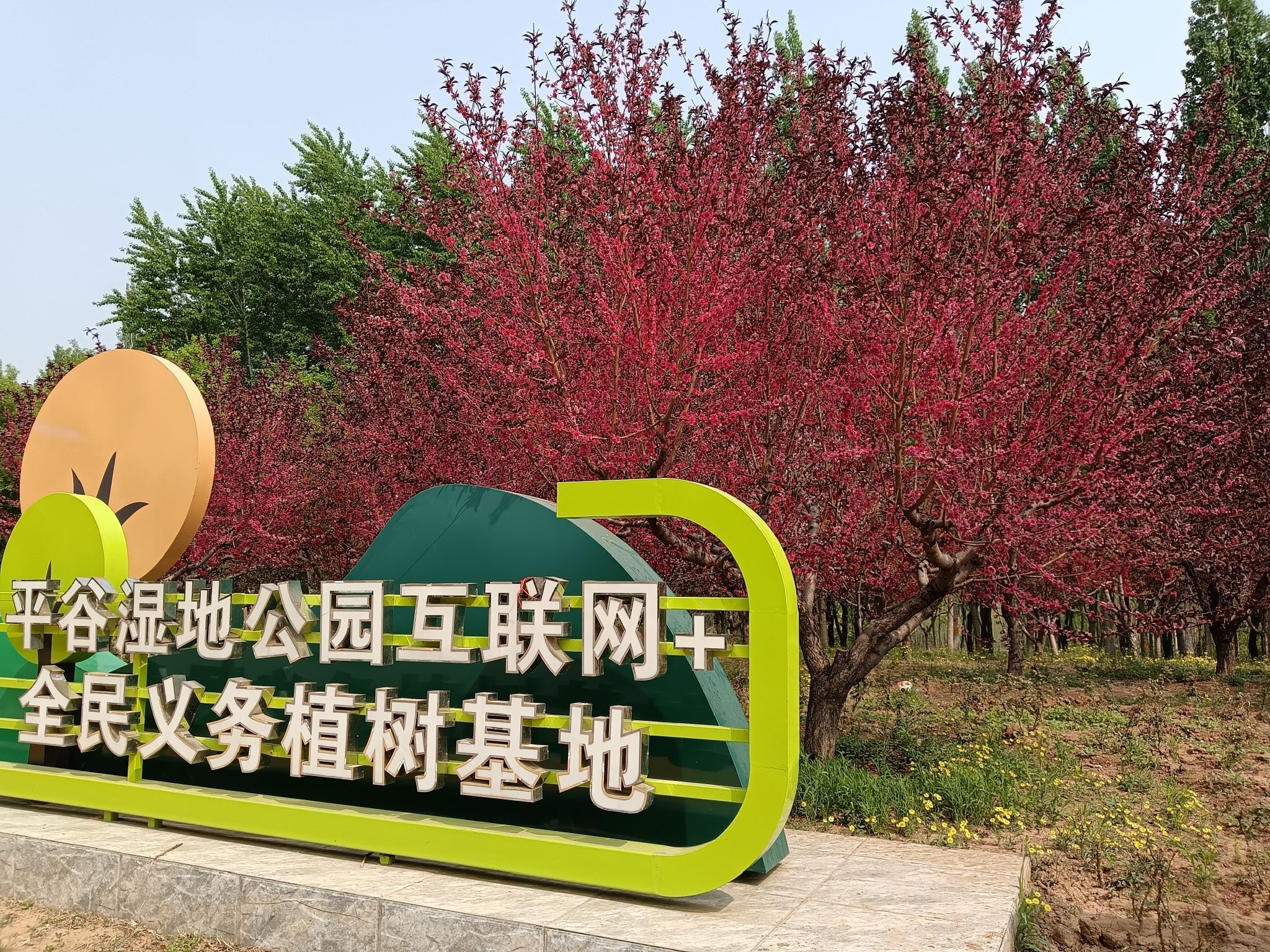 平谷湿地公园旅行图片 2