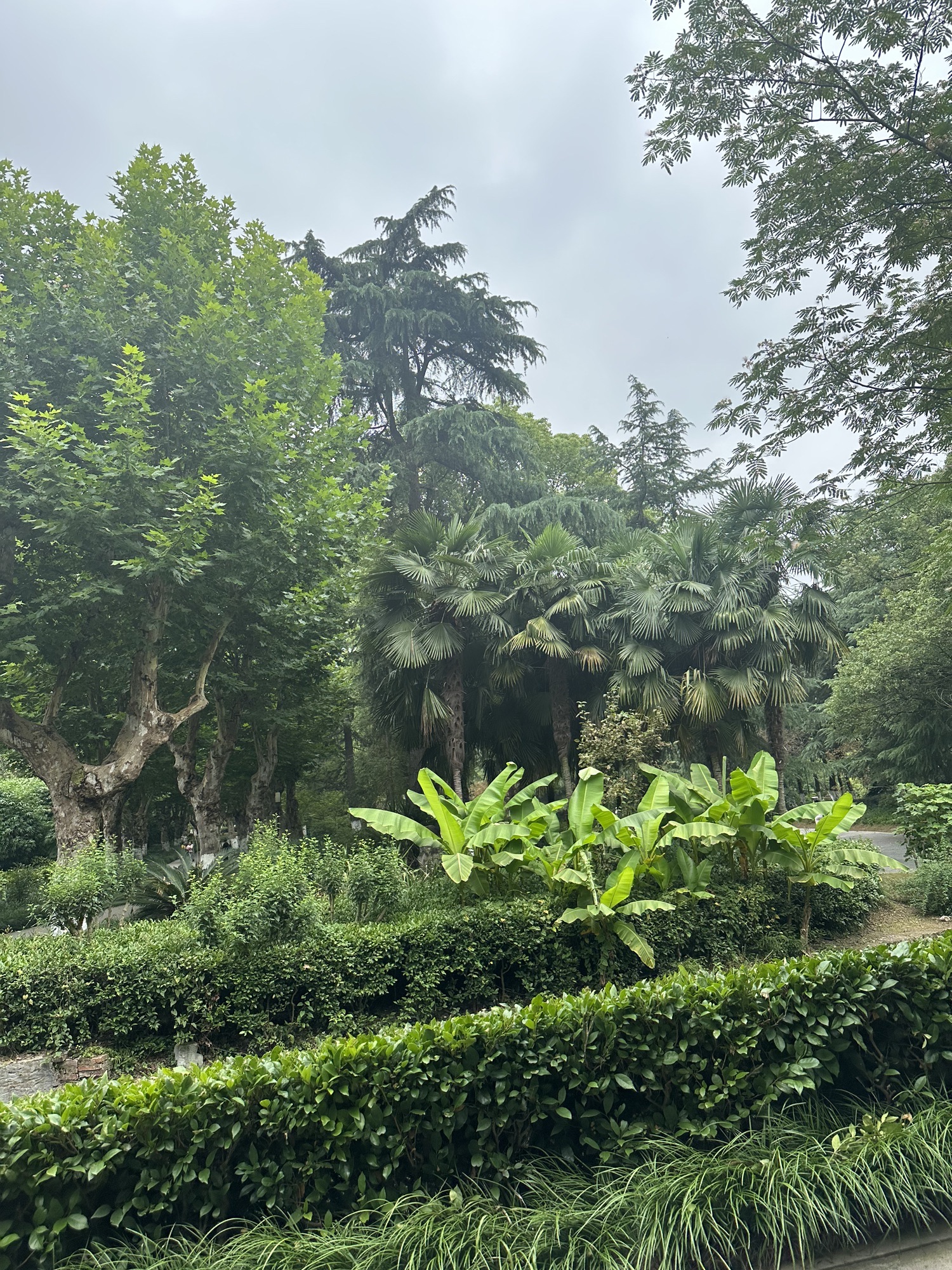 祁东县双龙峡旅行图片 3