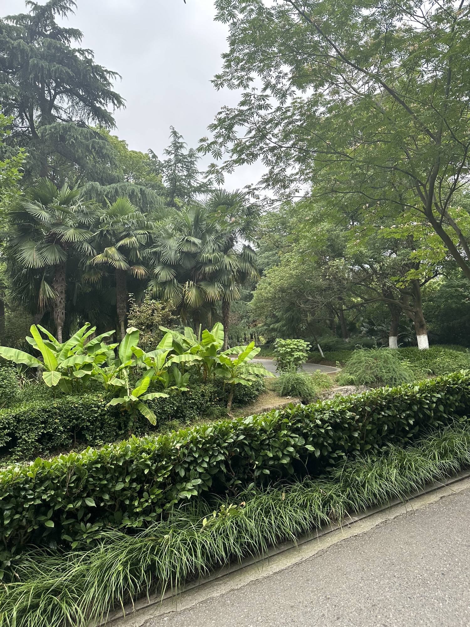 祁东县双龙峡旅行图片 2