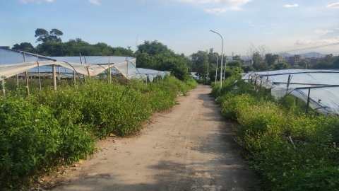 郭山森林公园旅行图片 1