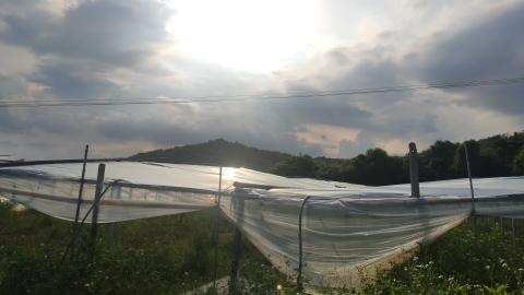 郭山森林公园旅行图片 3