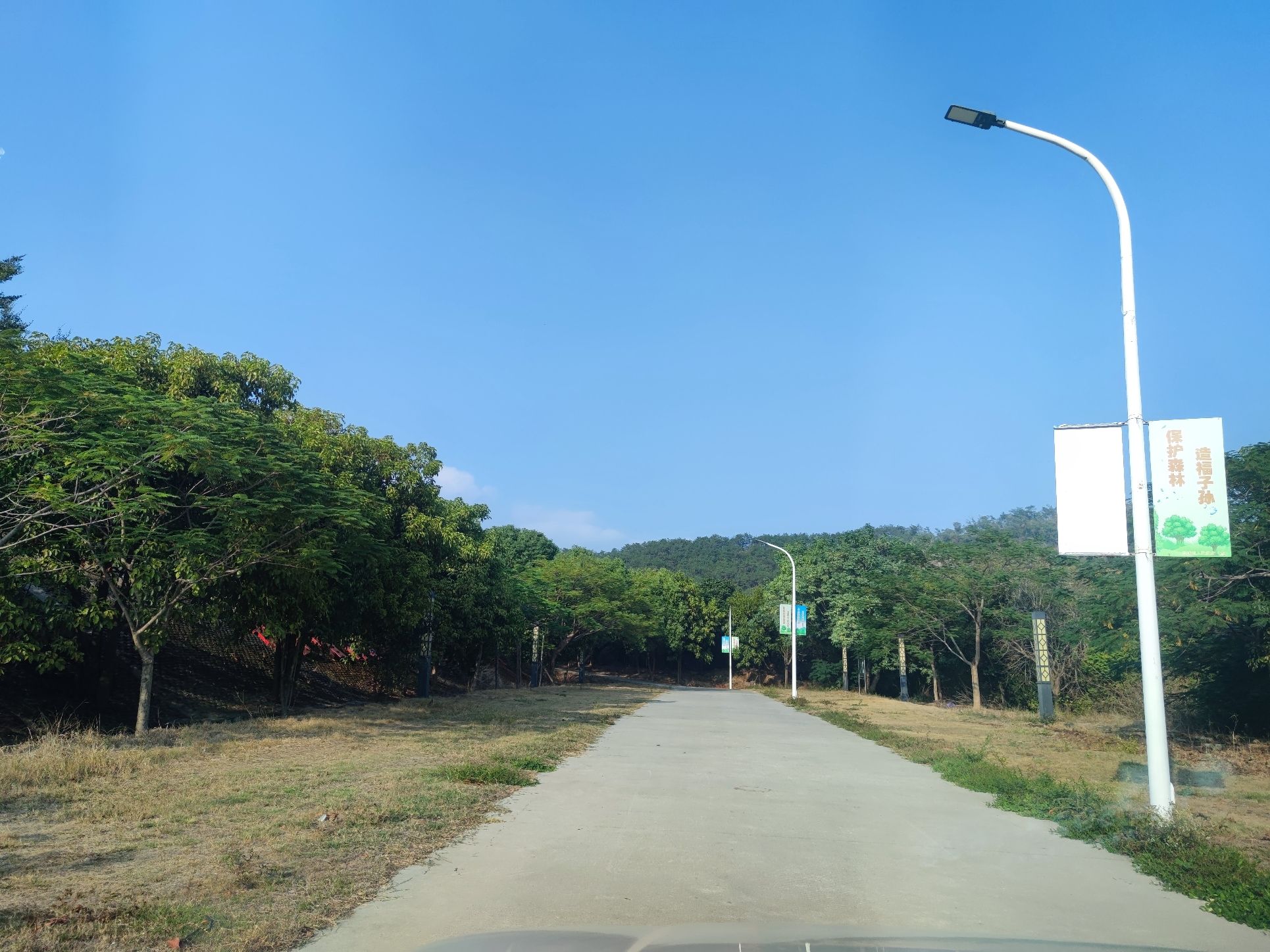 郭山森林公园旅行图片 3