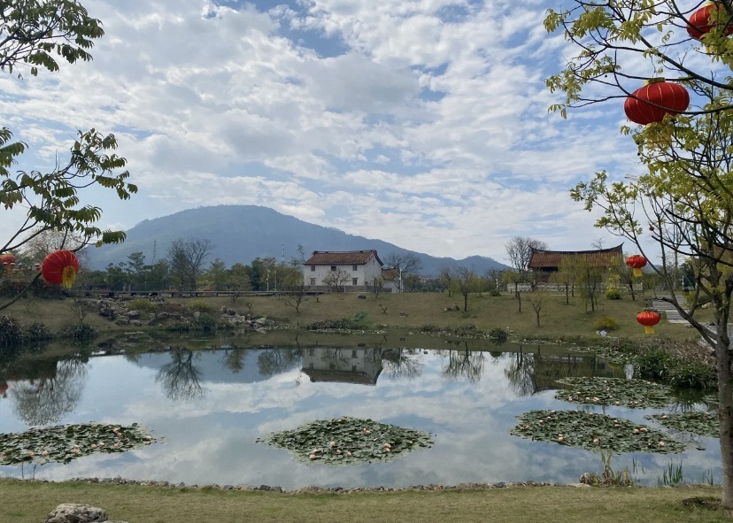 西院湖生态公园旅行图片 2