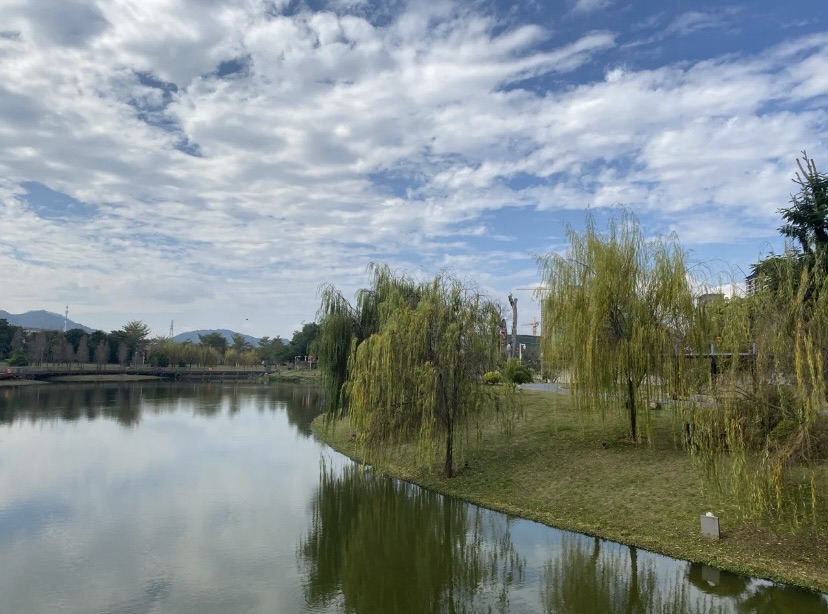 西院湖生态公园旅行图片 3