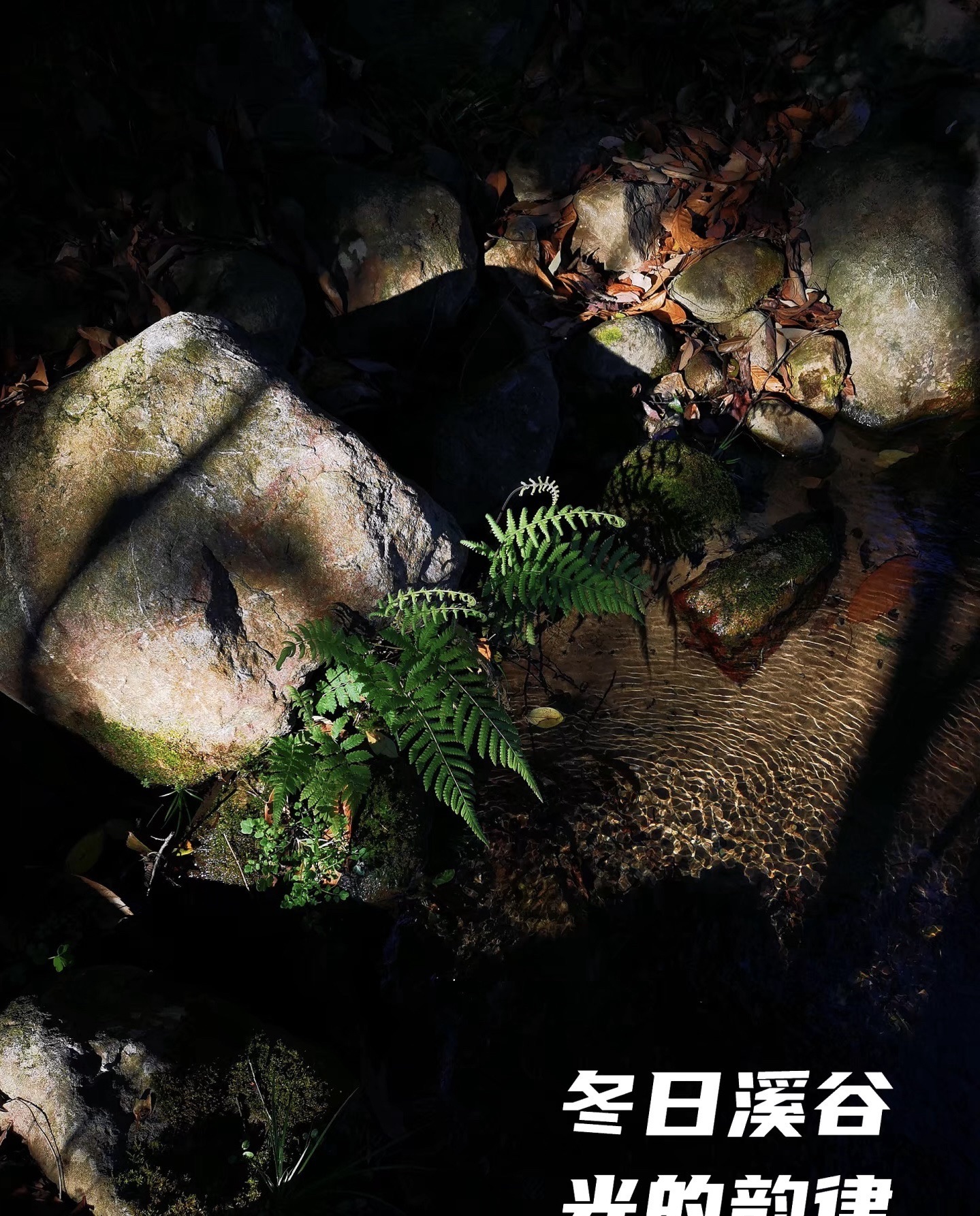 京口村情人谷旅行图片 1
