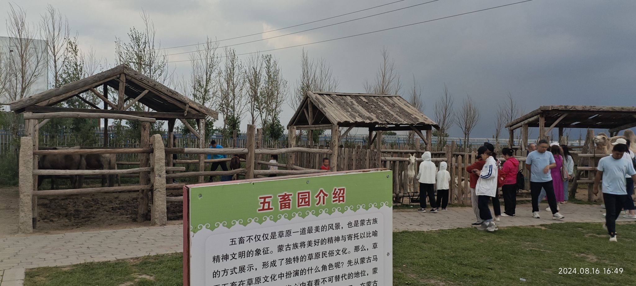 希拉穆仁花海景区旅行图片 1